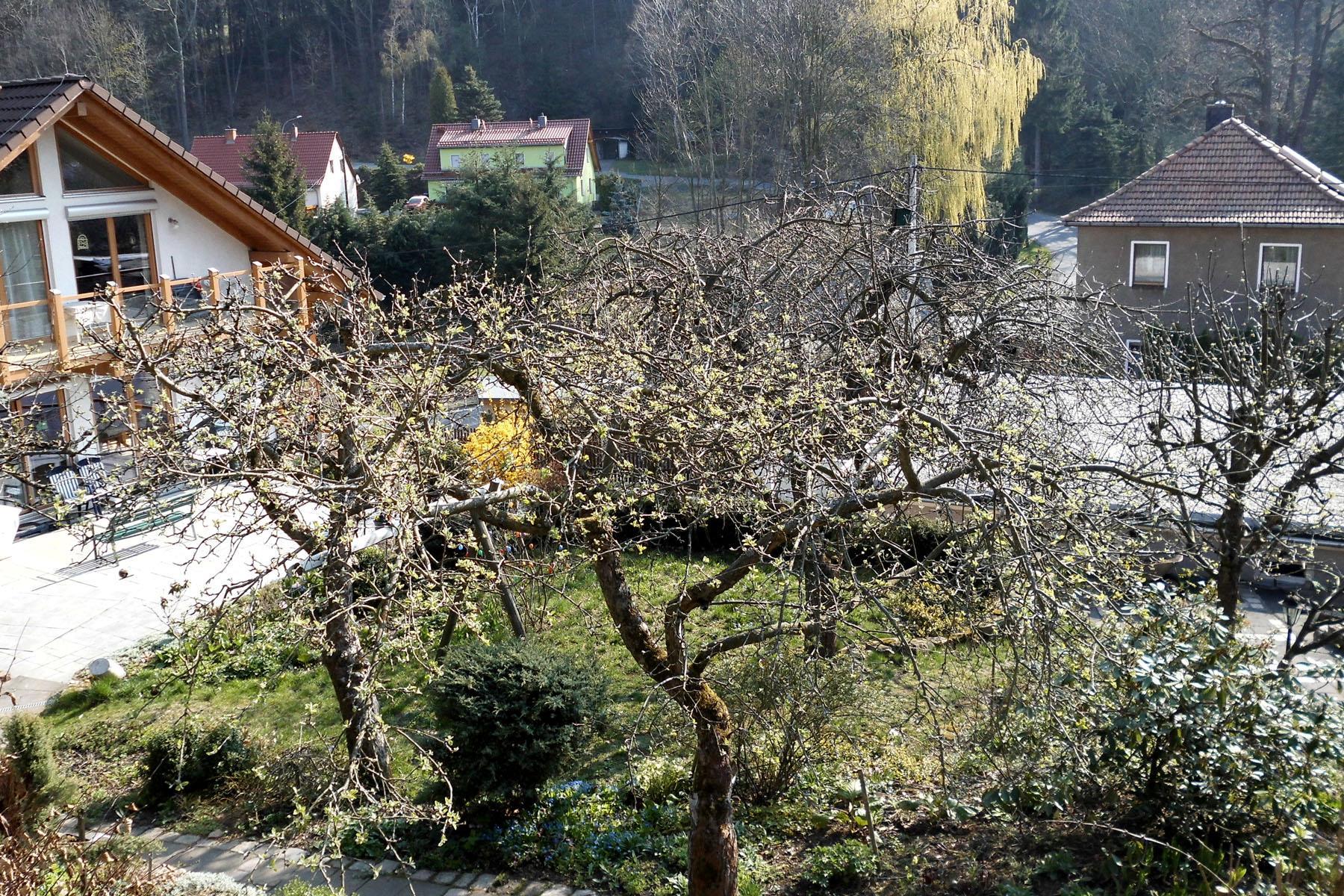 Ferienhaus Kahle, Bad Gottleuba-Berggießhübel