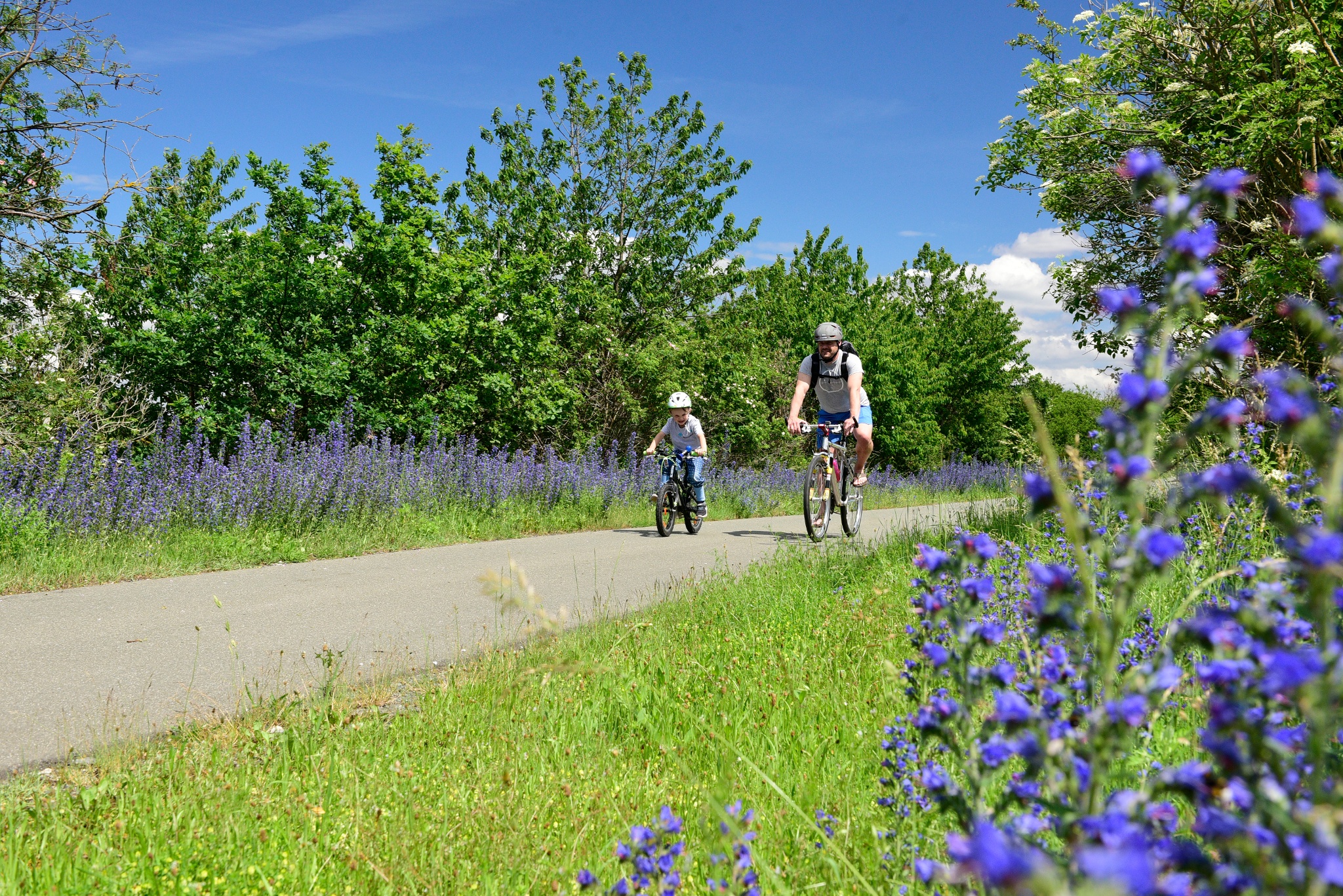 Radweg Falkenstein-Oelsnitz – Motiv