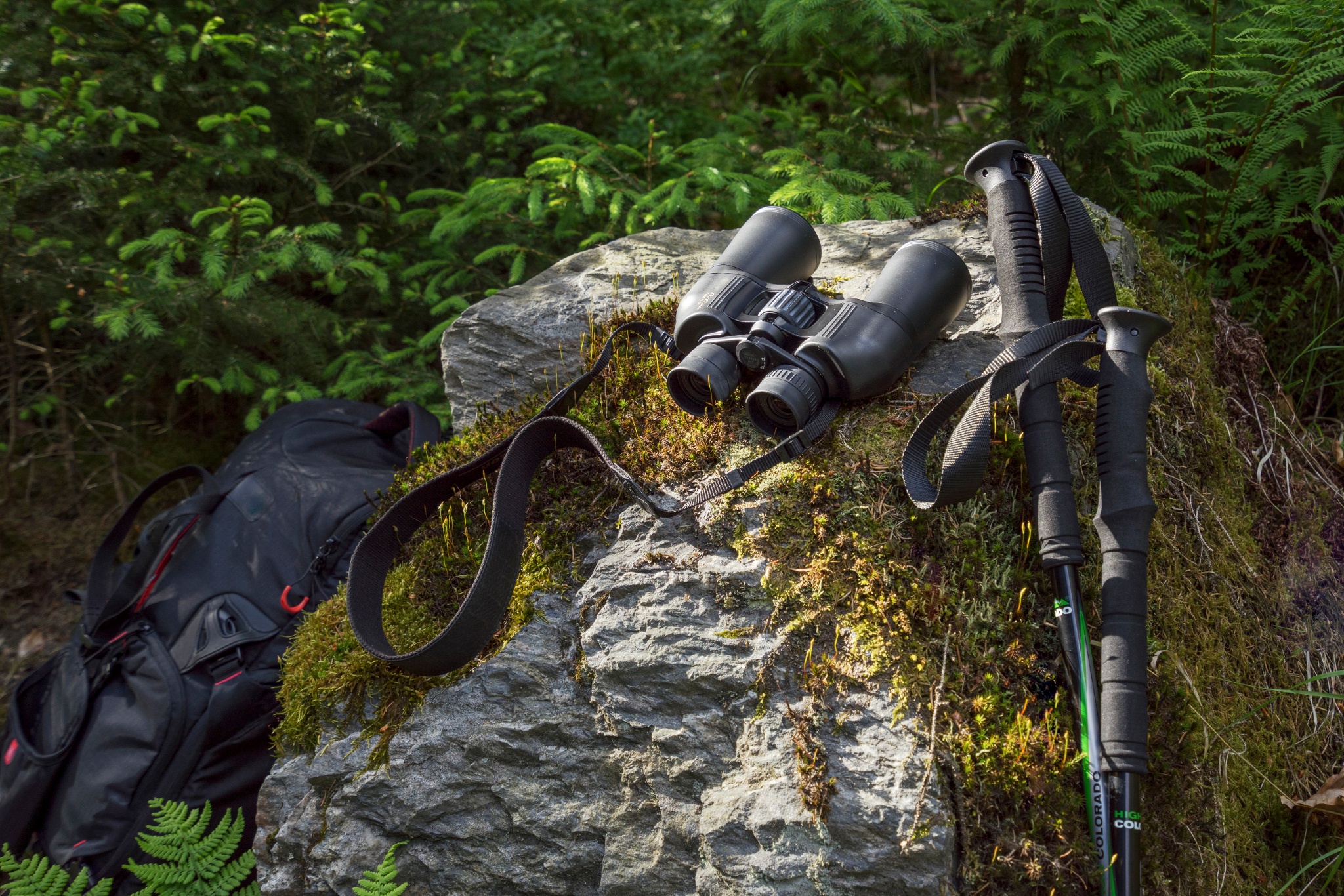 Barrierefreier Wanderweg vom Bahnhof Schöneck zur Meilerhütte – Motiv