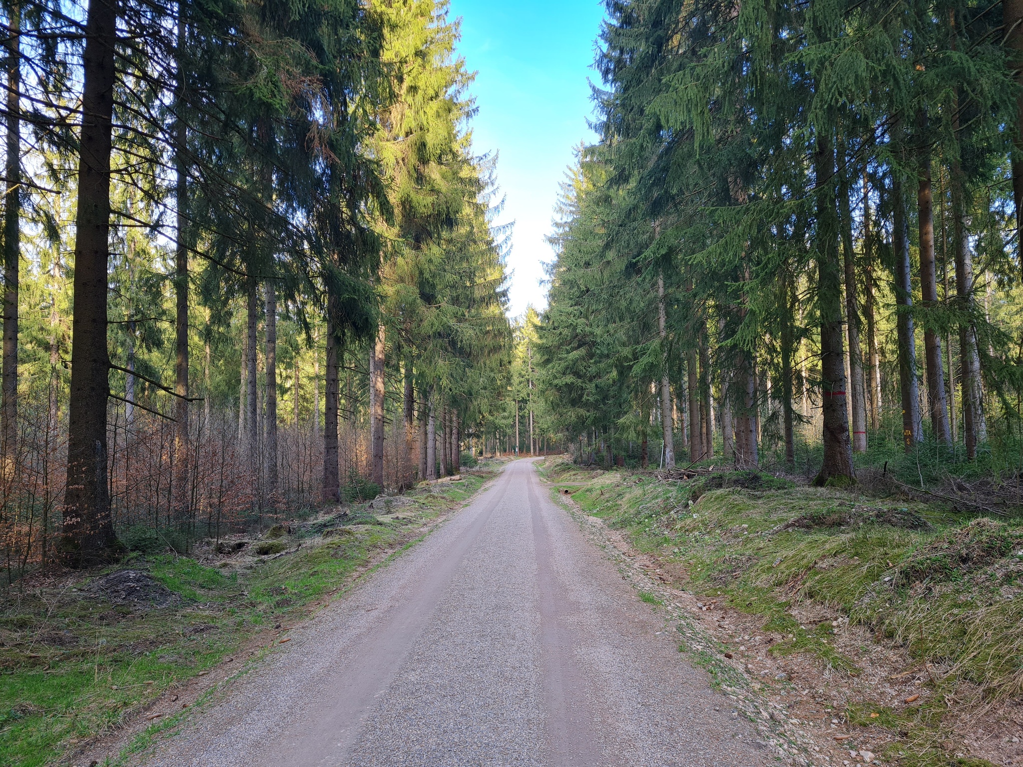 Barrierefreier Wanderweg von Grünheide bis Morgenröthe – Rautenkranz – Motiv