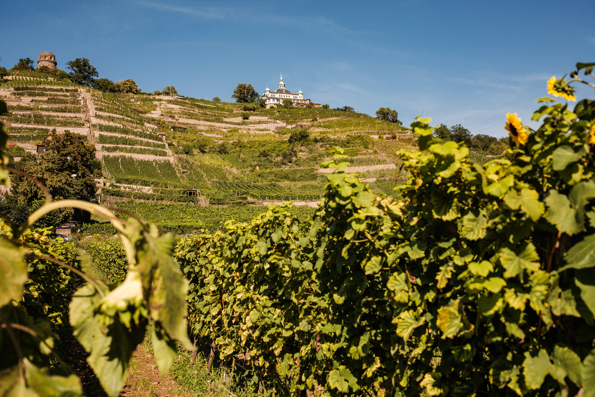 Spitzhaus – Motiv