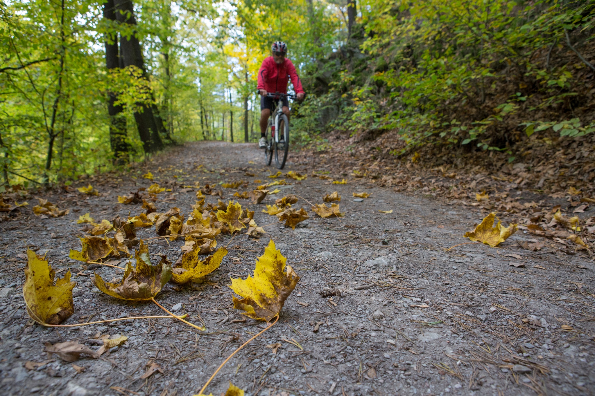 Fuchsbachtal-Route – Motiv