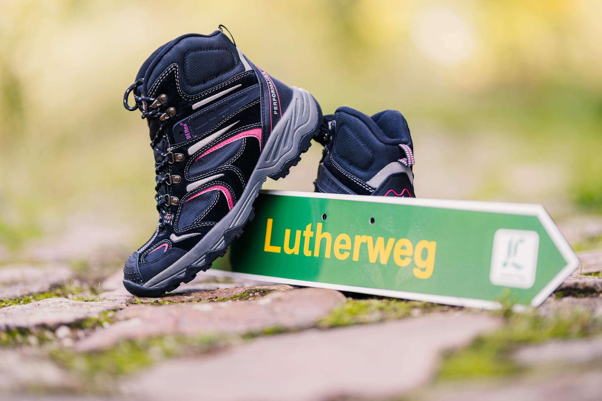 Lutherweg Sachsen – gesamte Strecke – Motiv