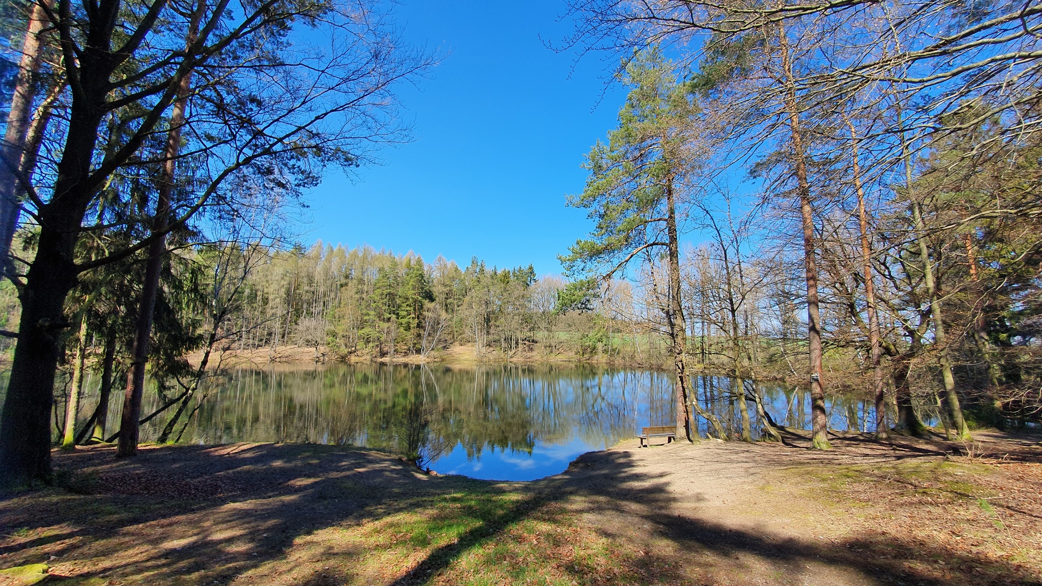 Naturlehrpfad im Pöllwitzer Wald – Motiv