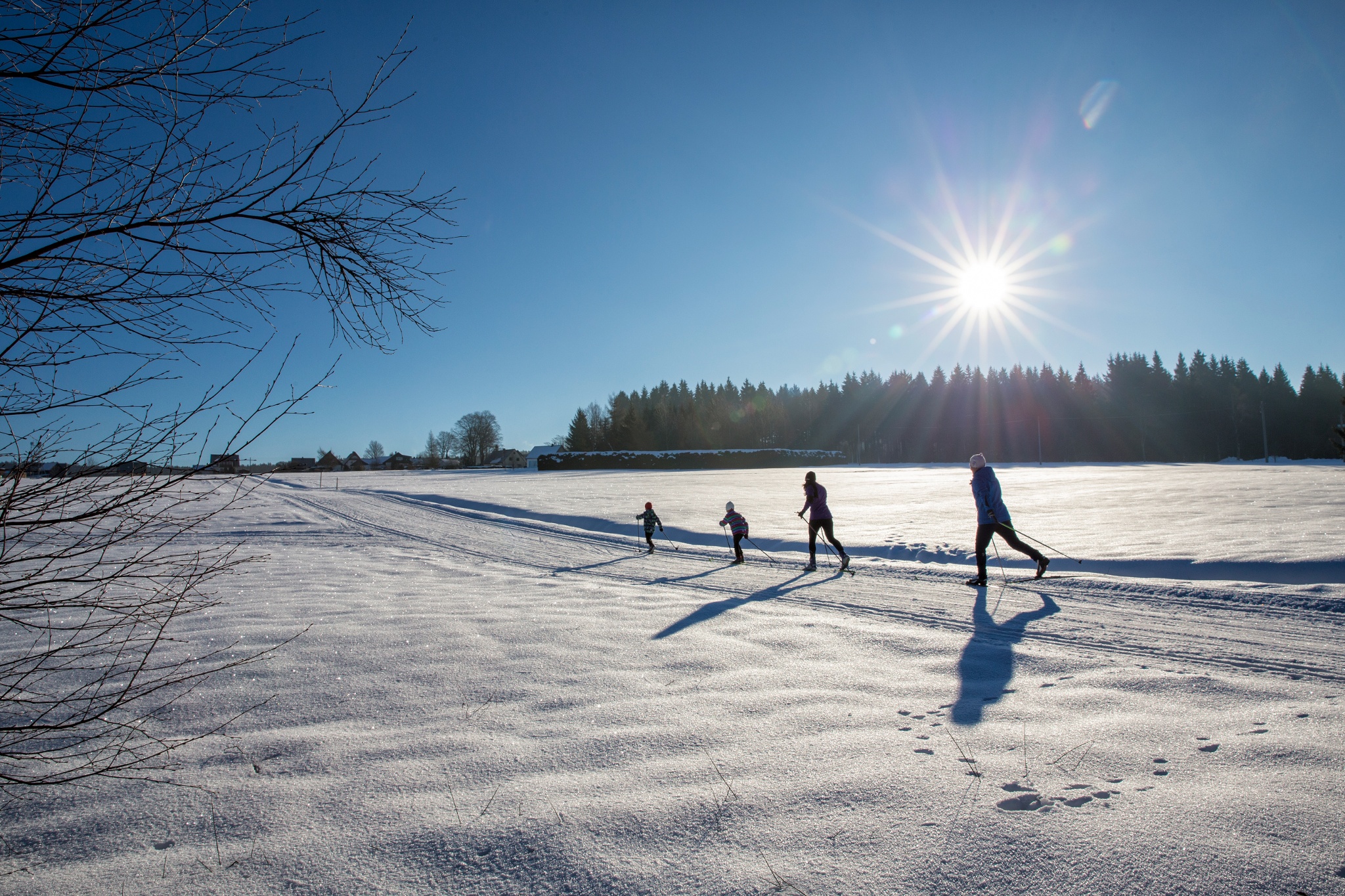 Sonnenloipe Beerheide – Motiv