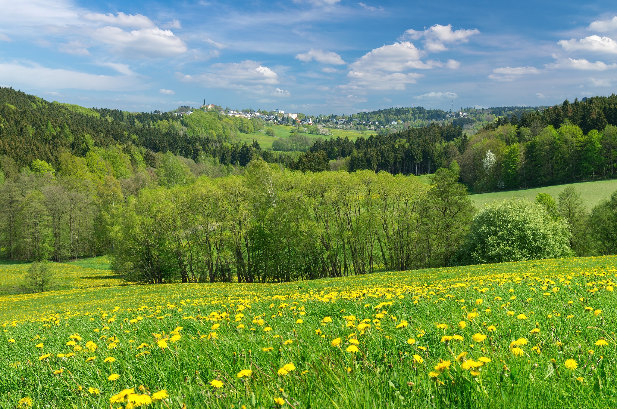 Durchs Zwotaer Land 5 – Motiv