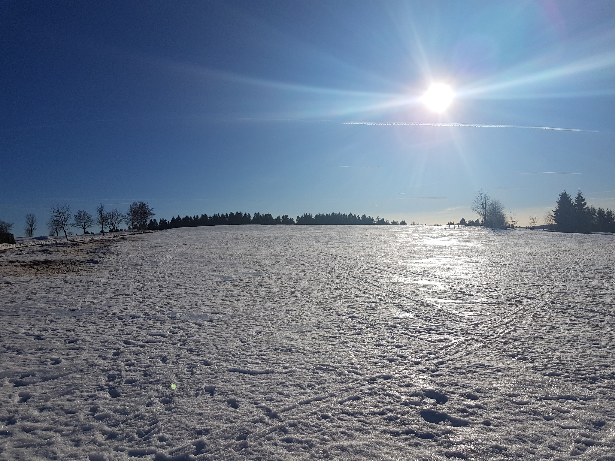 Weihnachtswanderung im Naturpark Vogtland – Erzgebirge – Motiv