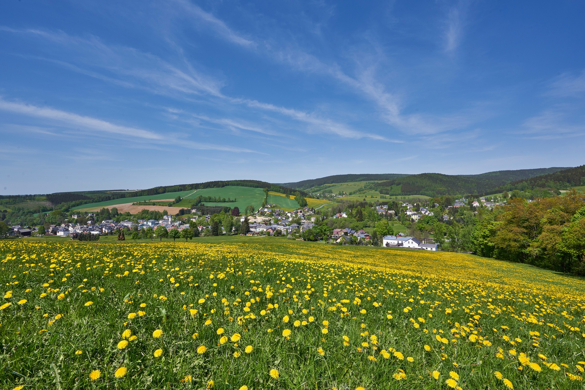 Rundtour am Elstergebirgsweg – Motiv