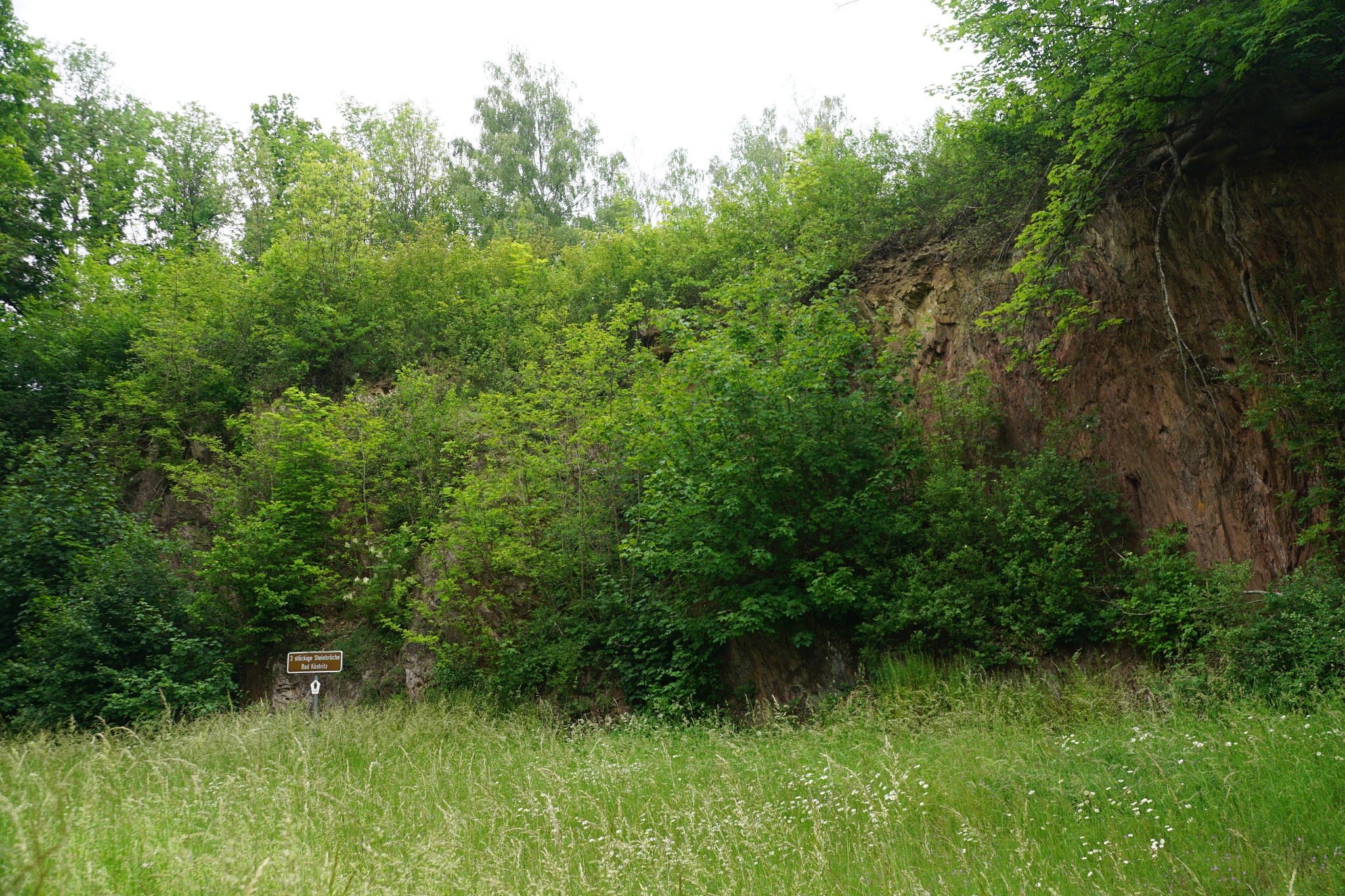 Herrenallee Bad Köstritz – Motiv