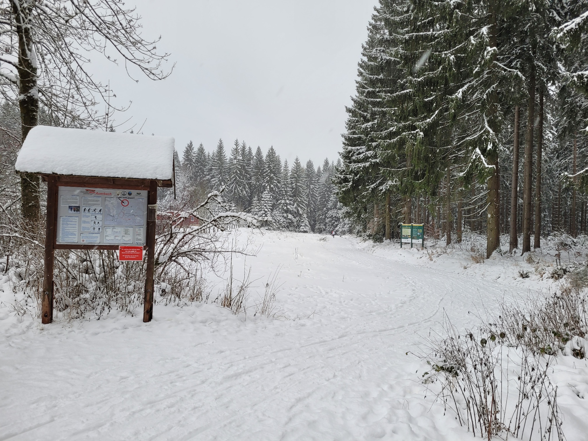 Winterwanderung Grünheide – große Runde – Motiv