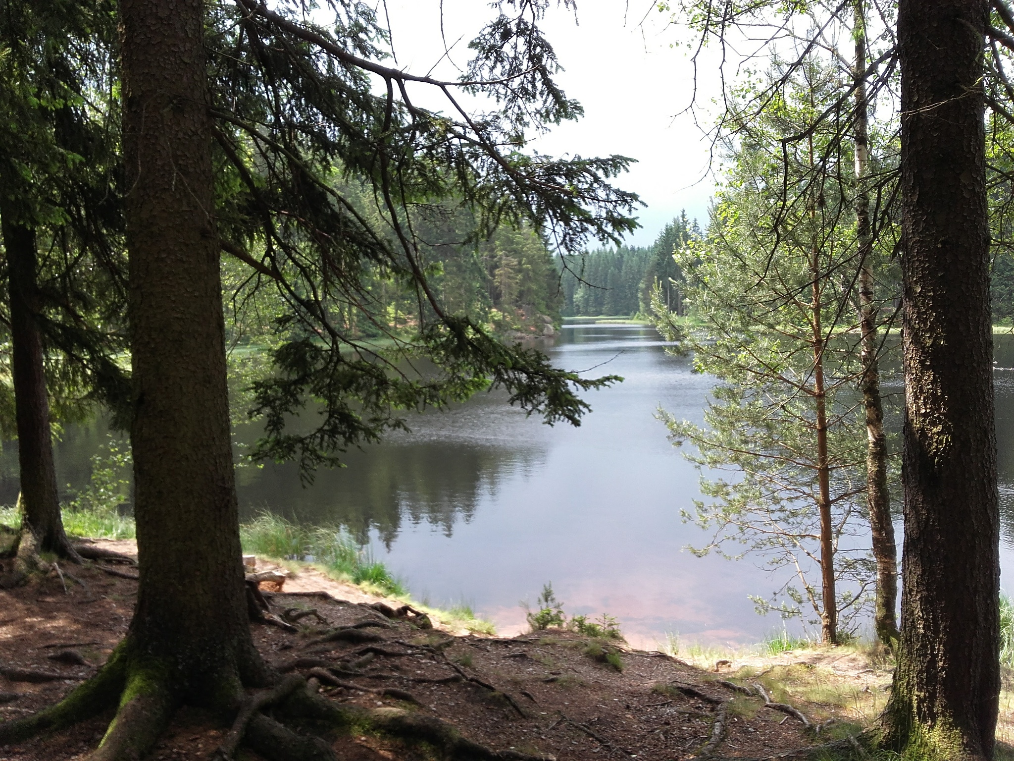 Von Beerheide zum Vogtlandsee – Route 1 Beerheide – Motiv