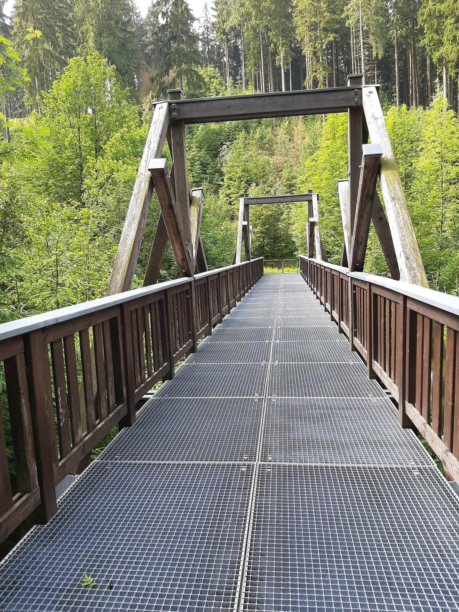 Rundweg über Doppelbrücke – Route 10 Beerheide – Motiv
