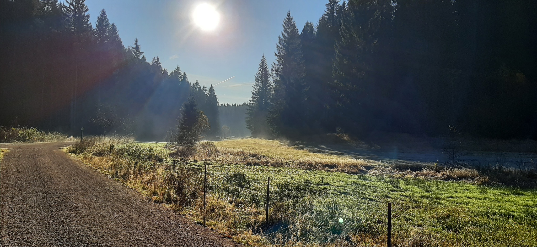Naturparadies Zinsbachtal – Route 11 Beerheide – Motiv