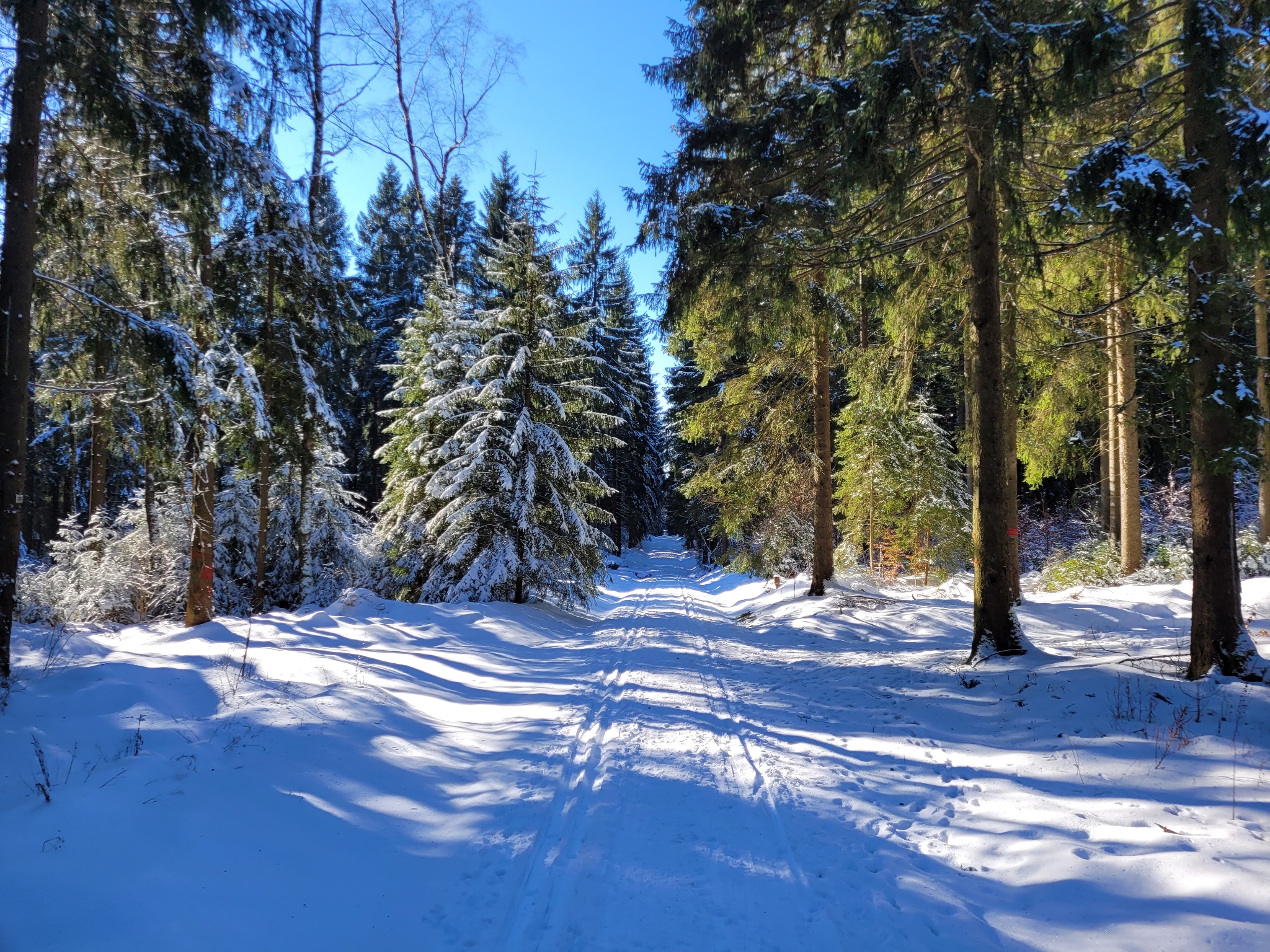 Vogtlandseeloipe – Motiv