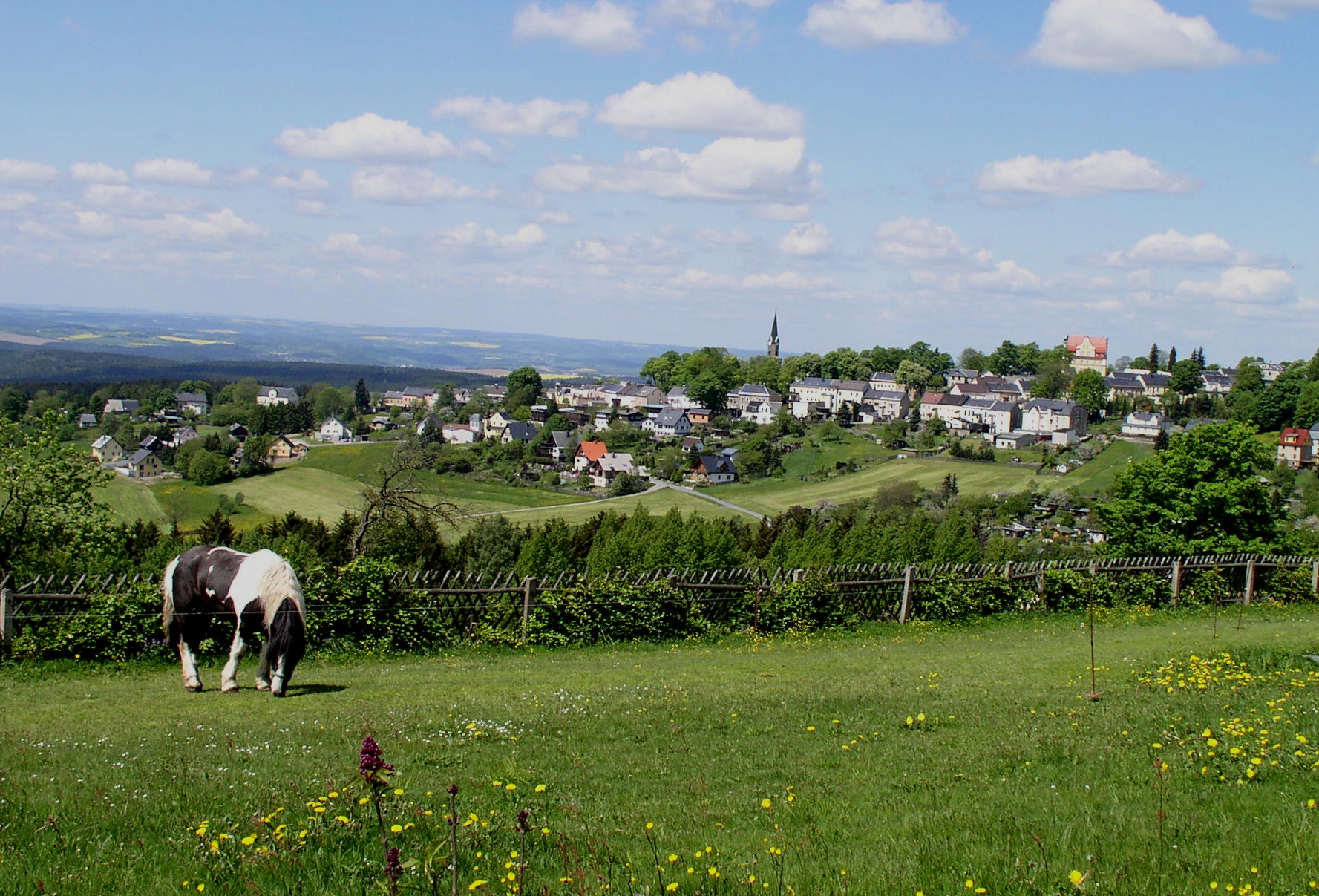 Bergbauhistorische Wanderung Görnitzbachtal – Motiv