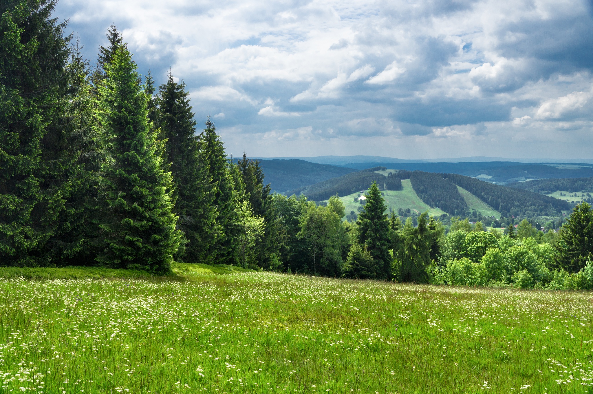 Kuhberg-Tour Rothenkirchen – Motiv