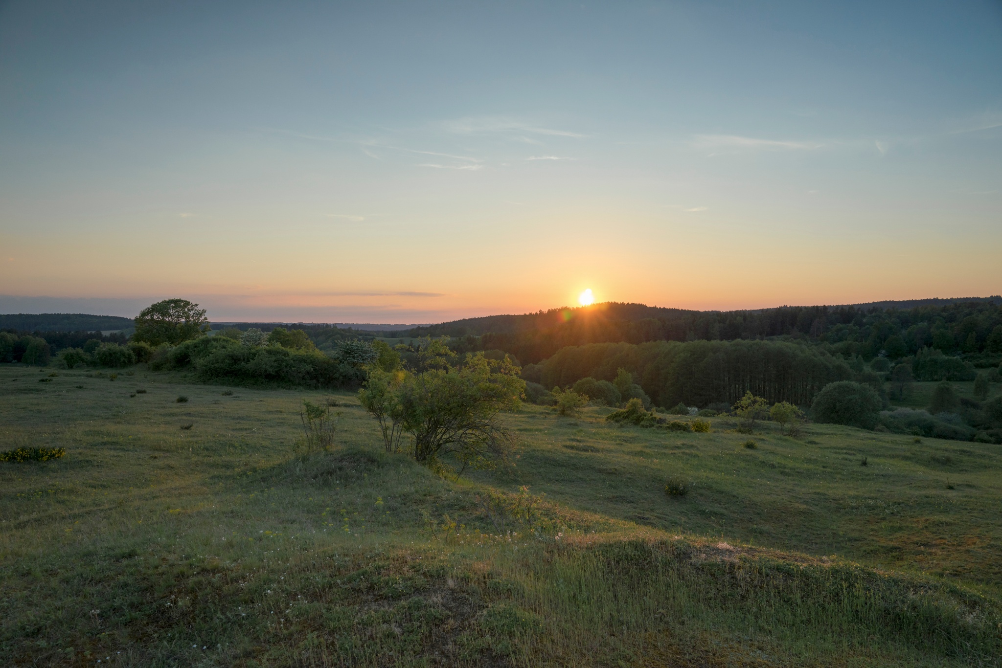Über Grünheide nach Schönheide – Motiv