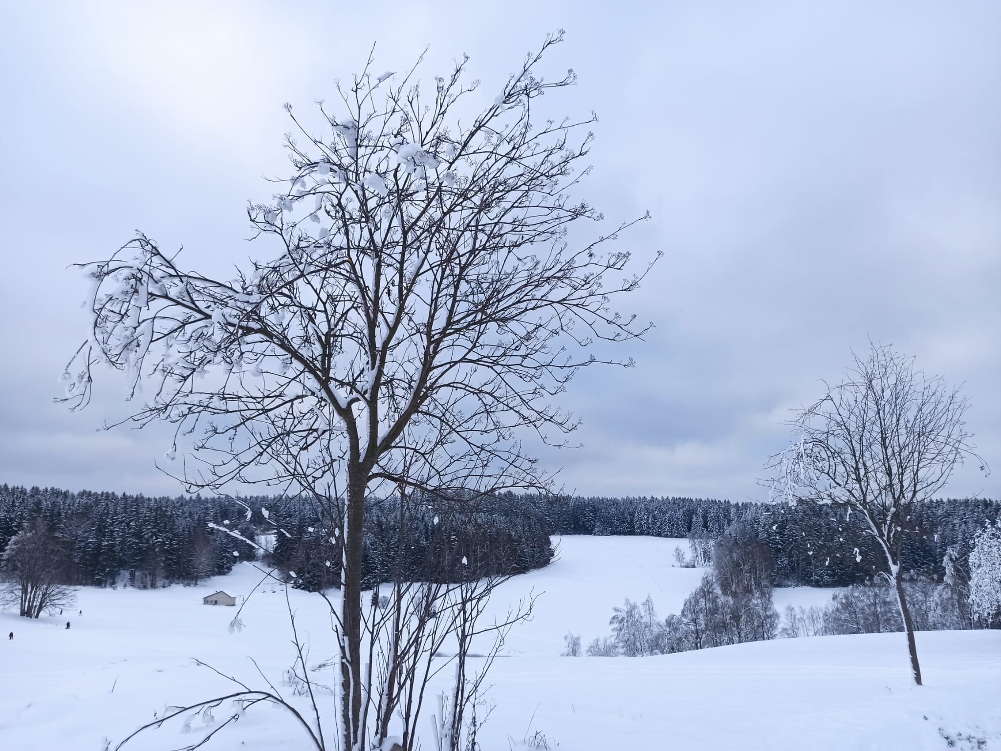 Ski- und Rodelhang Werda – Motiv