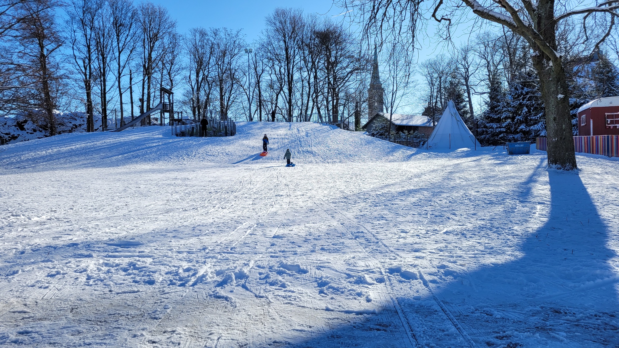 Rodelhügel im Stadtpark Falkenstein – Motiv