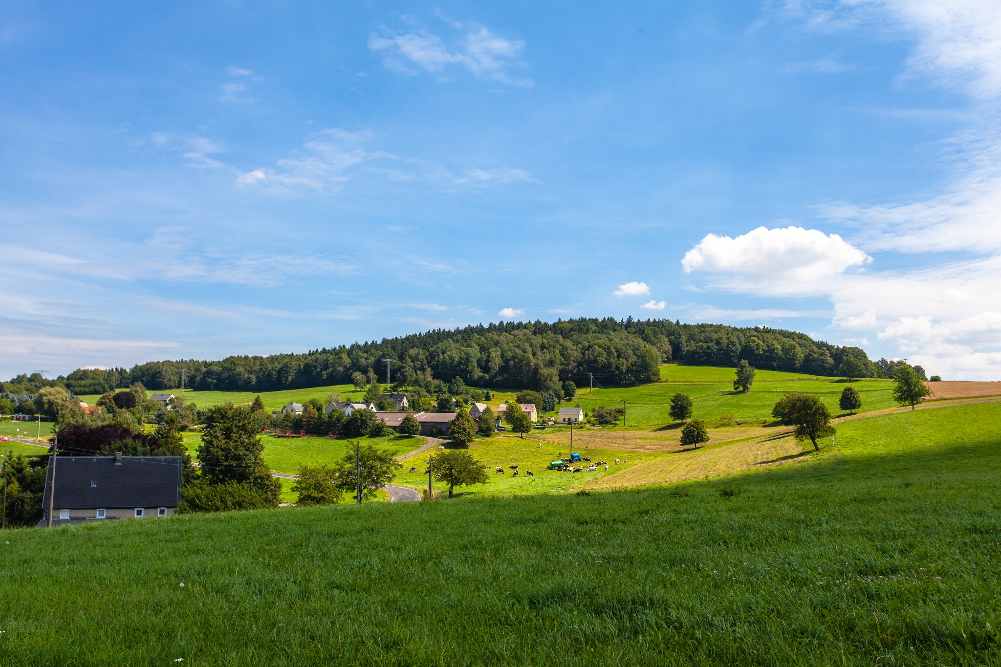 Westlausitz-Rundweg – Motiv