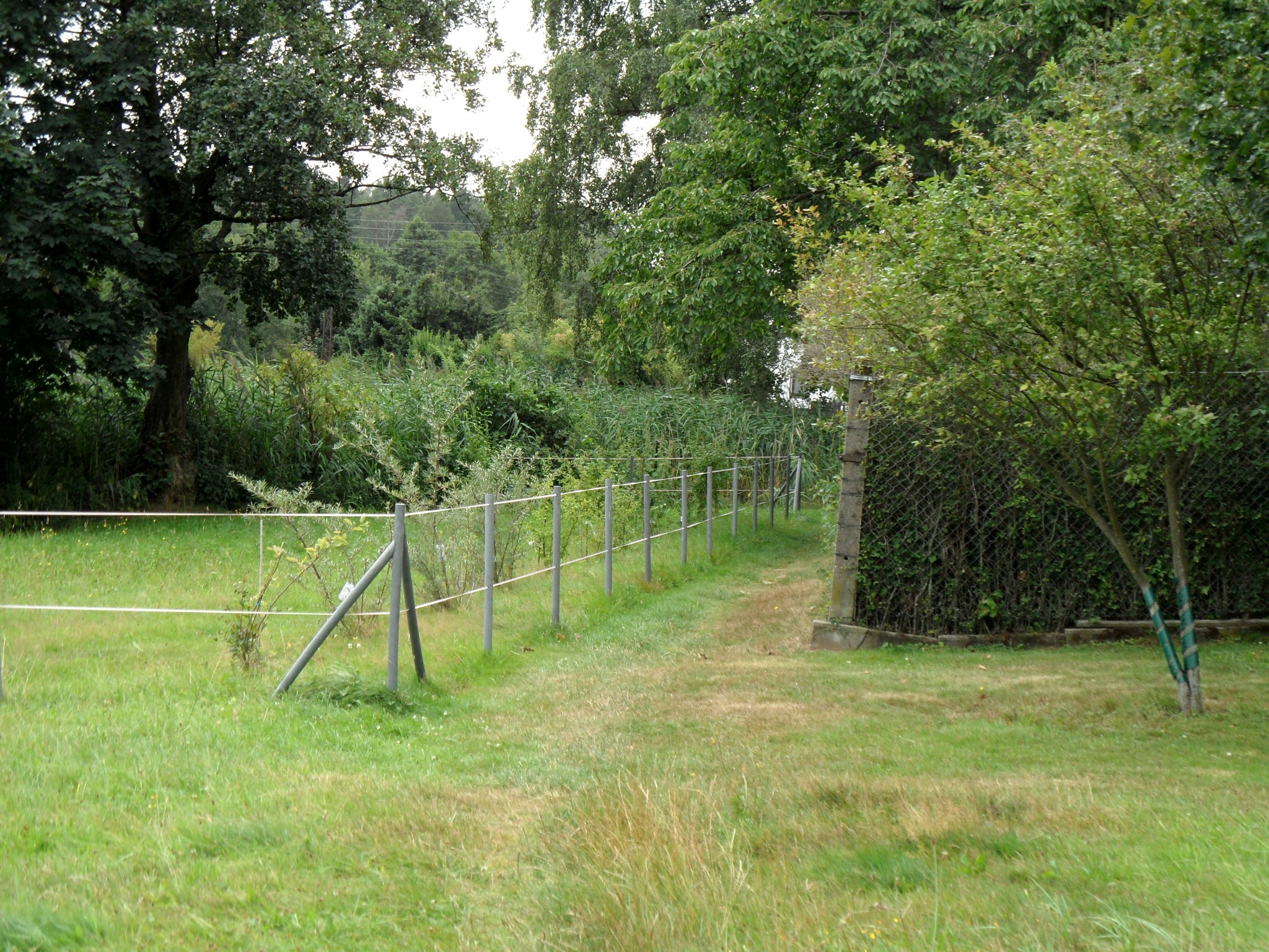 Wächterbergweg – Motiv