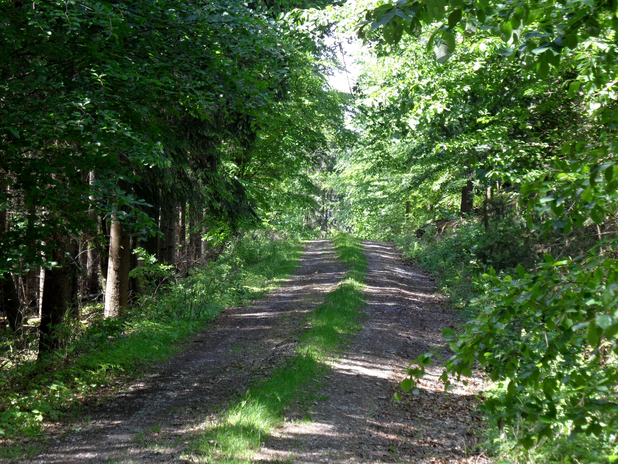 Schwarzenberg Rundweg – Motiv