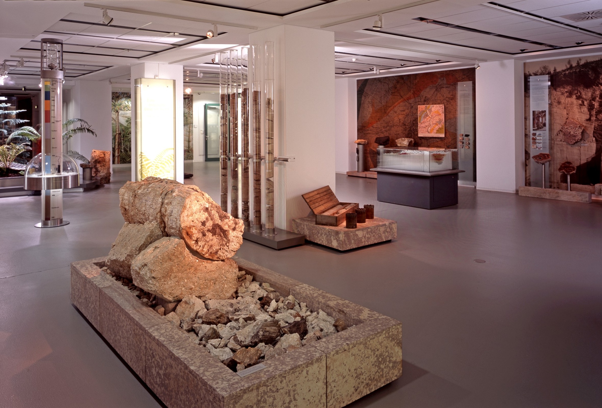 Museum für Naturkunde Chemnitz – Motiv