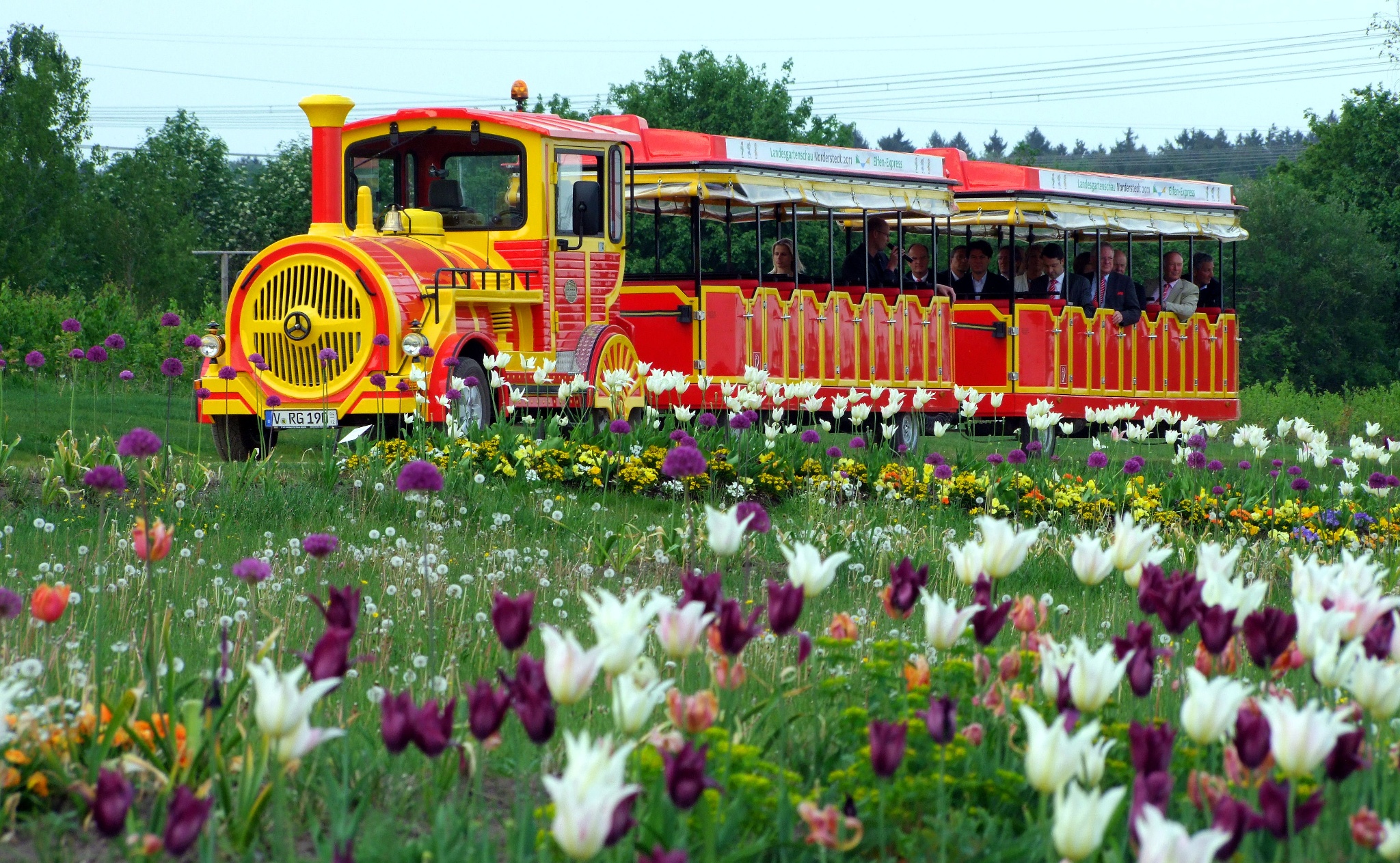 Reichenbacher Kleinbahn – Motiv