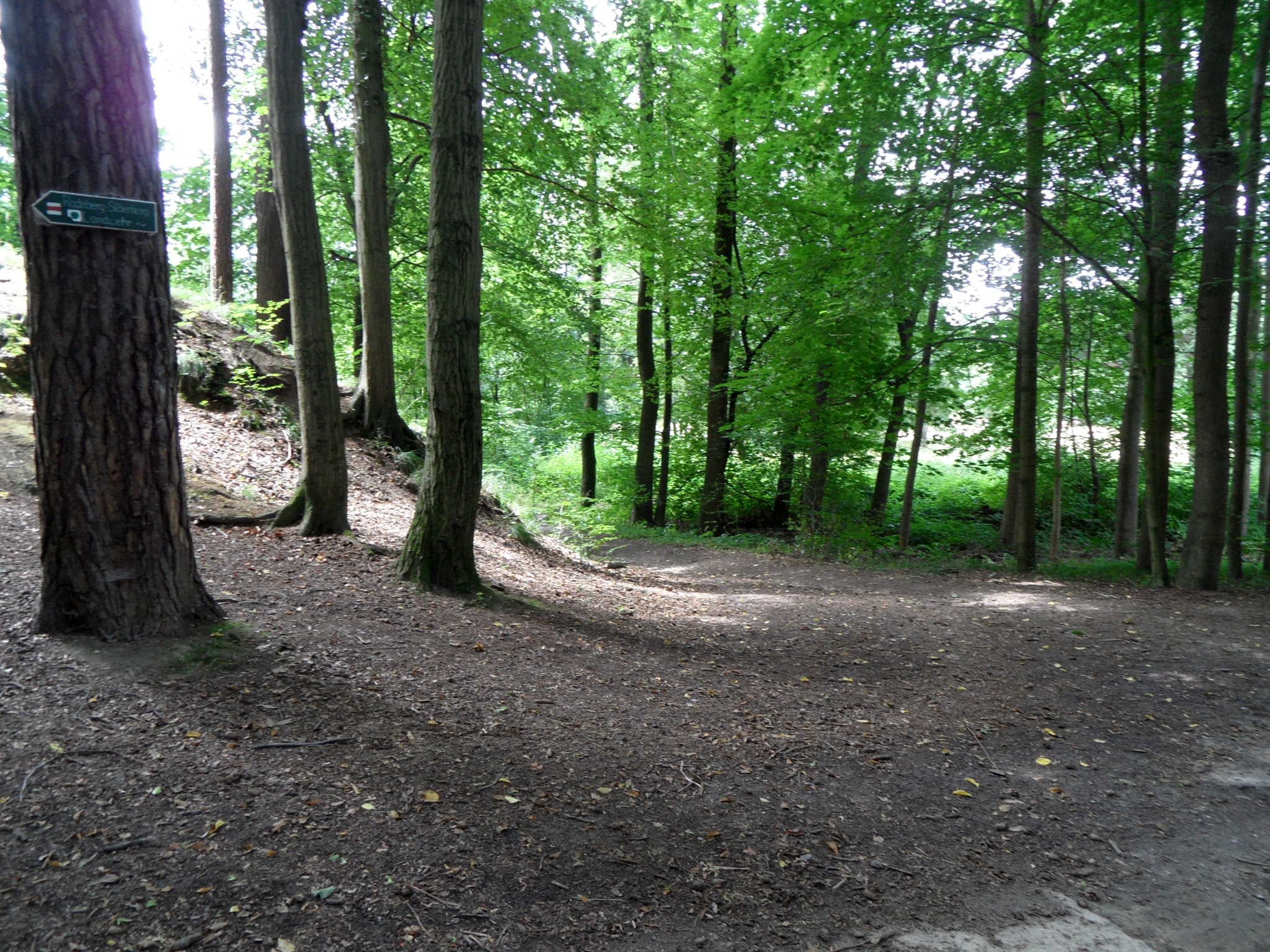 Radeberger Rundwanderweg – Motiv