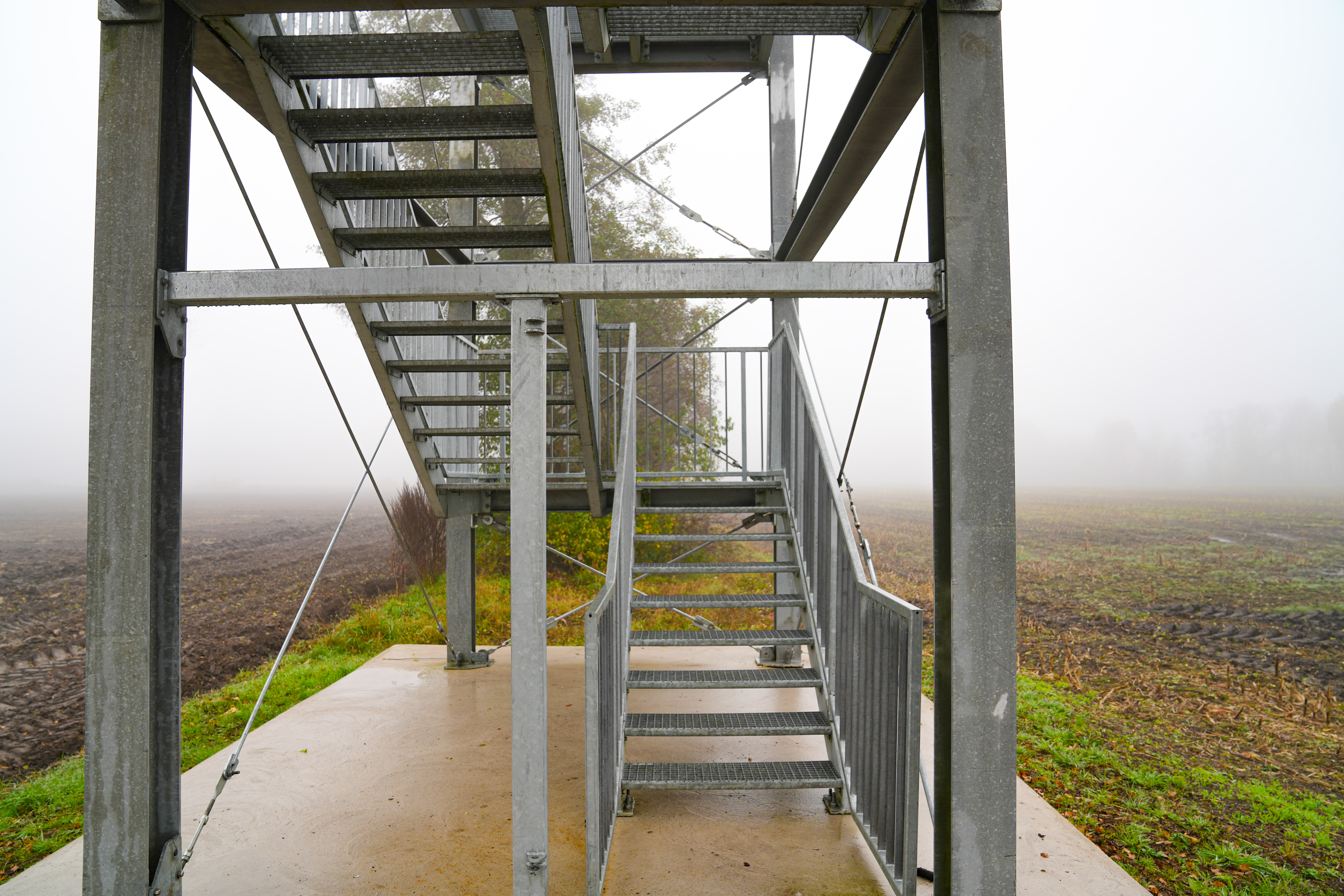 Aussichtsturm Schwaneburgermoor