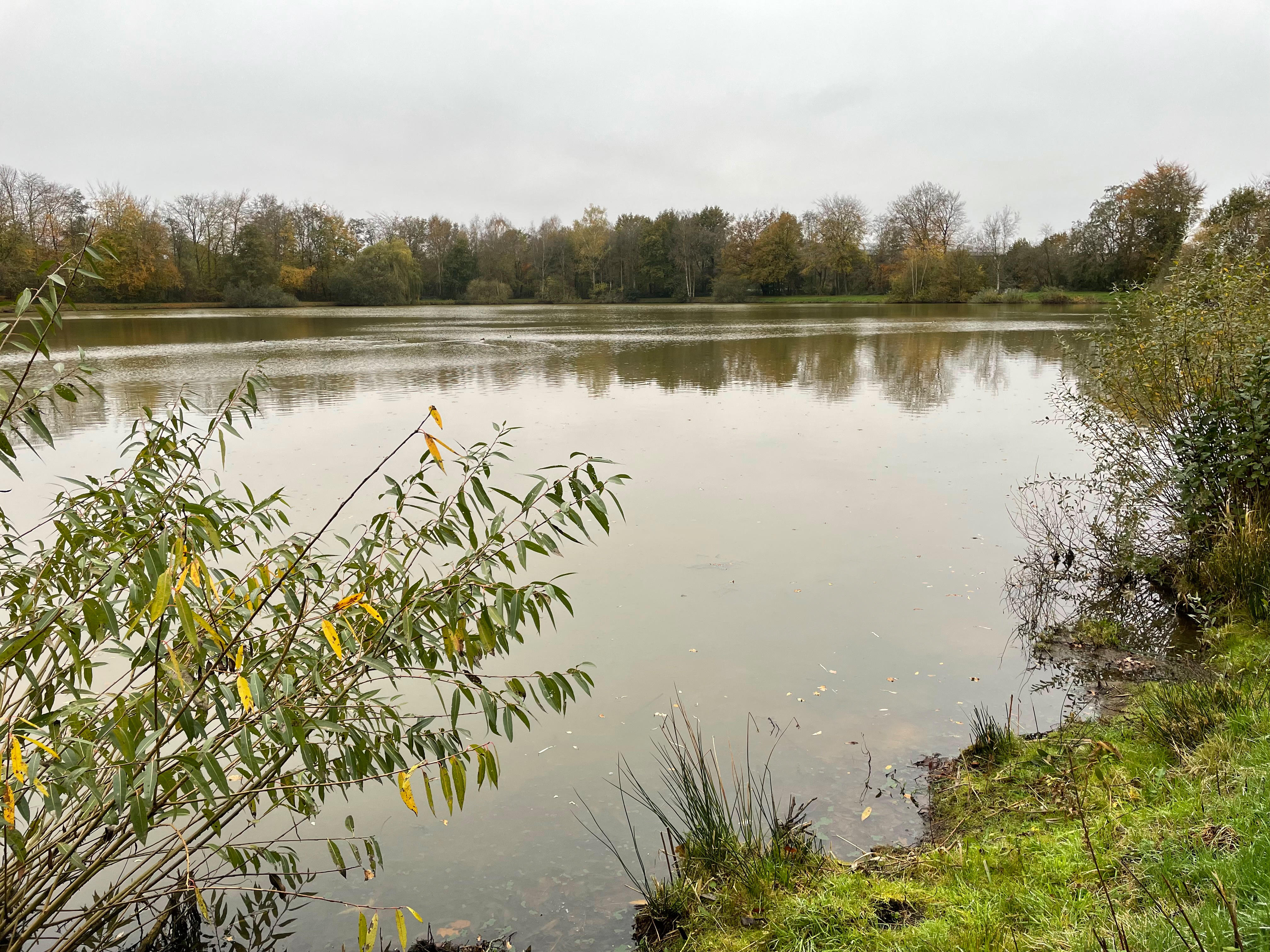 Maiglöckchensee Scharrel mit Reisemobilstellplatz