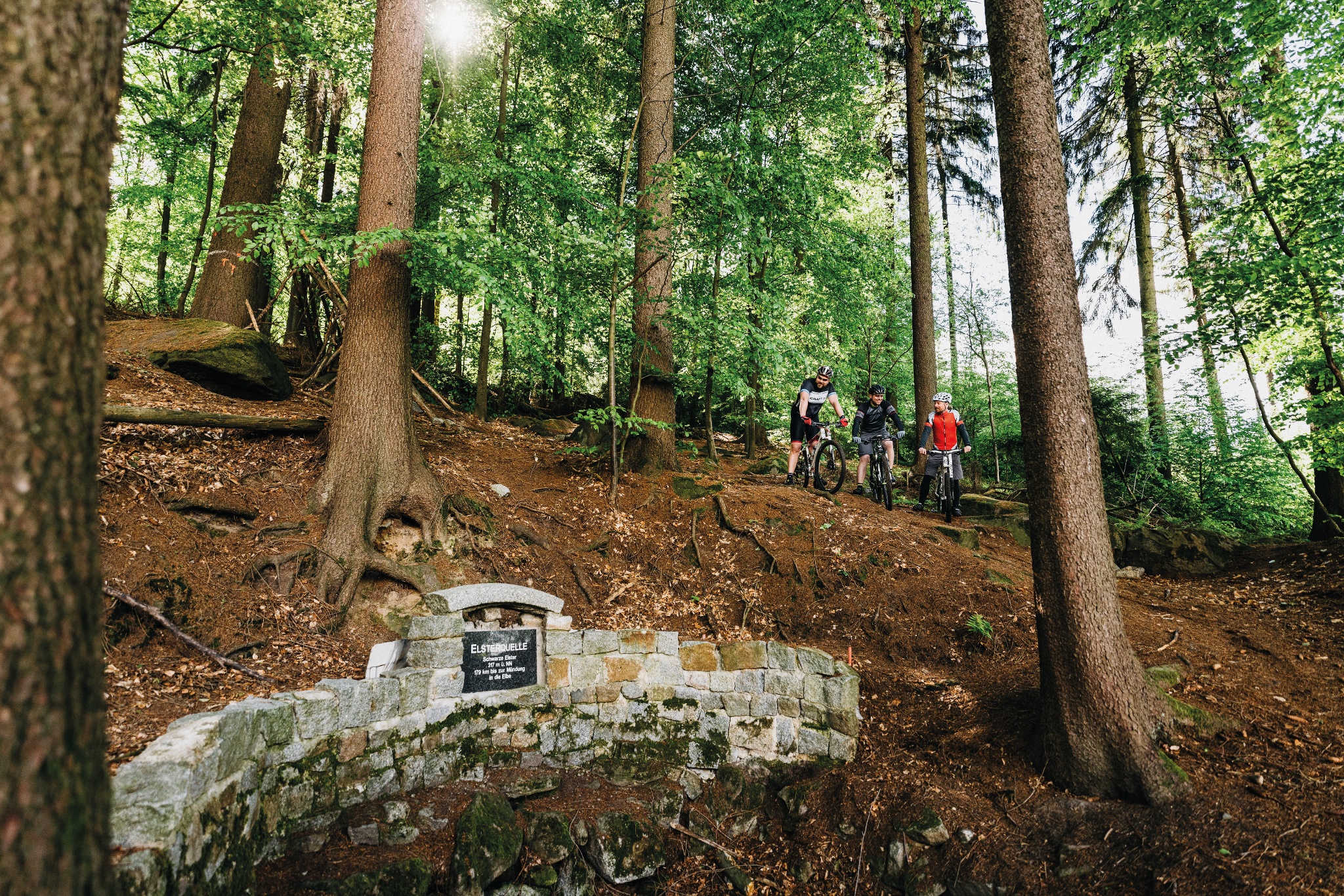 Schwarze-Elster-Radweg – Motiv