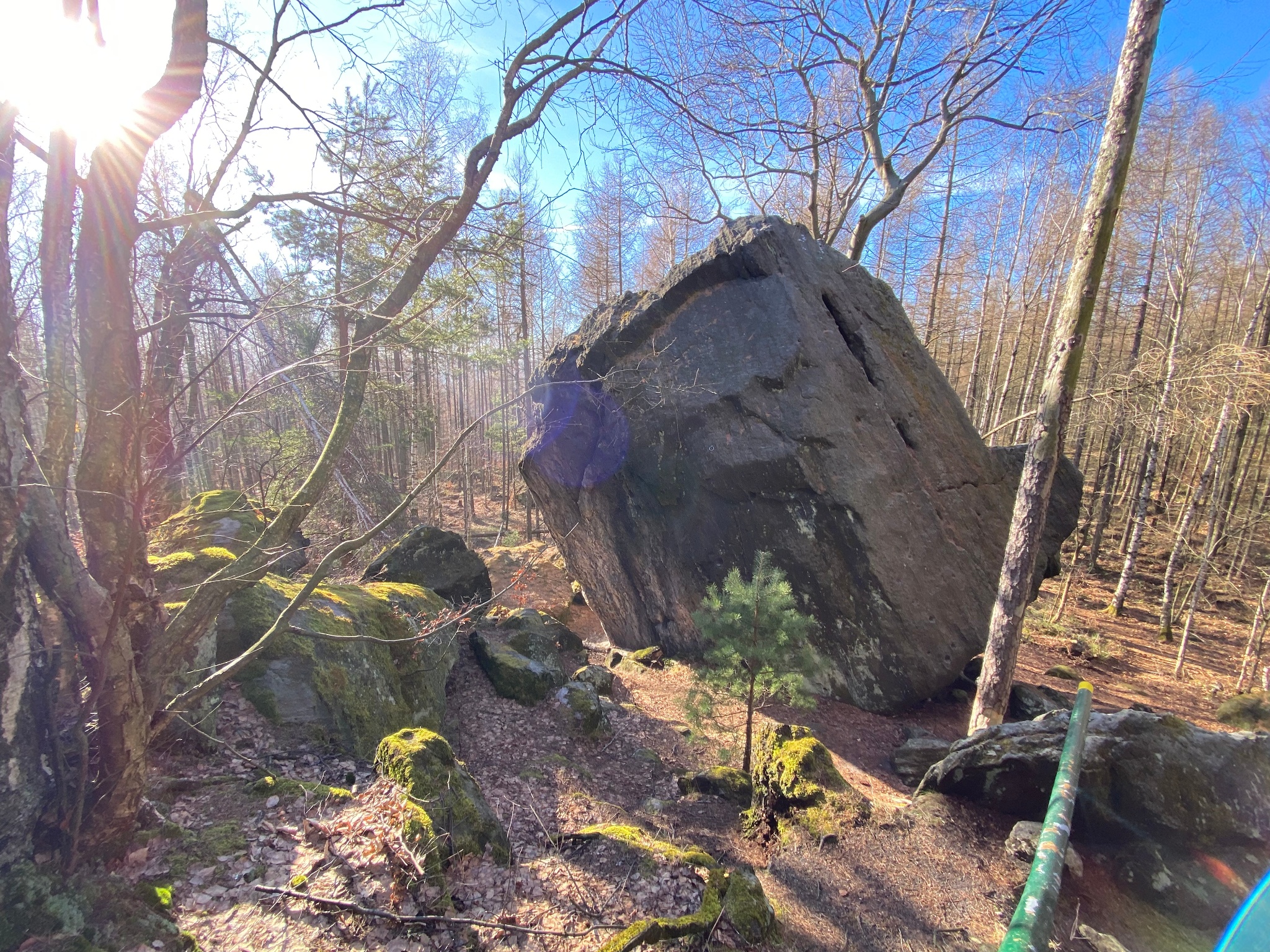 Naturerlebniswanderung zwischen Zeisigstein und Hartenstein