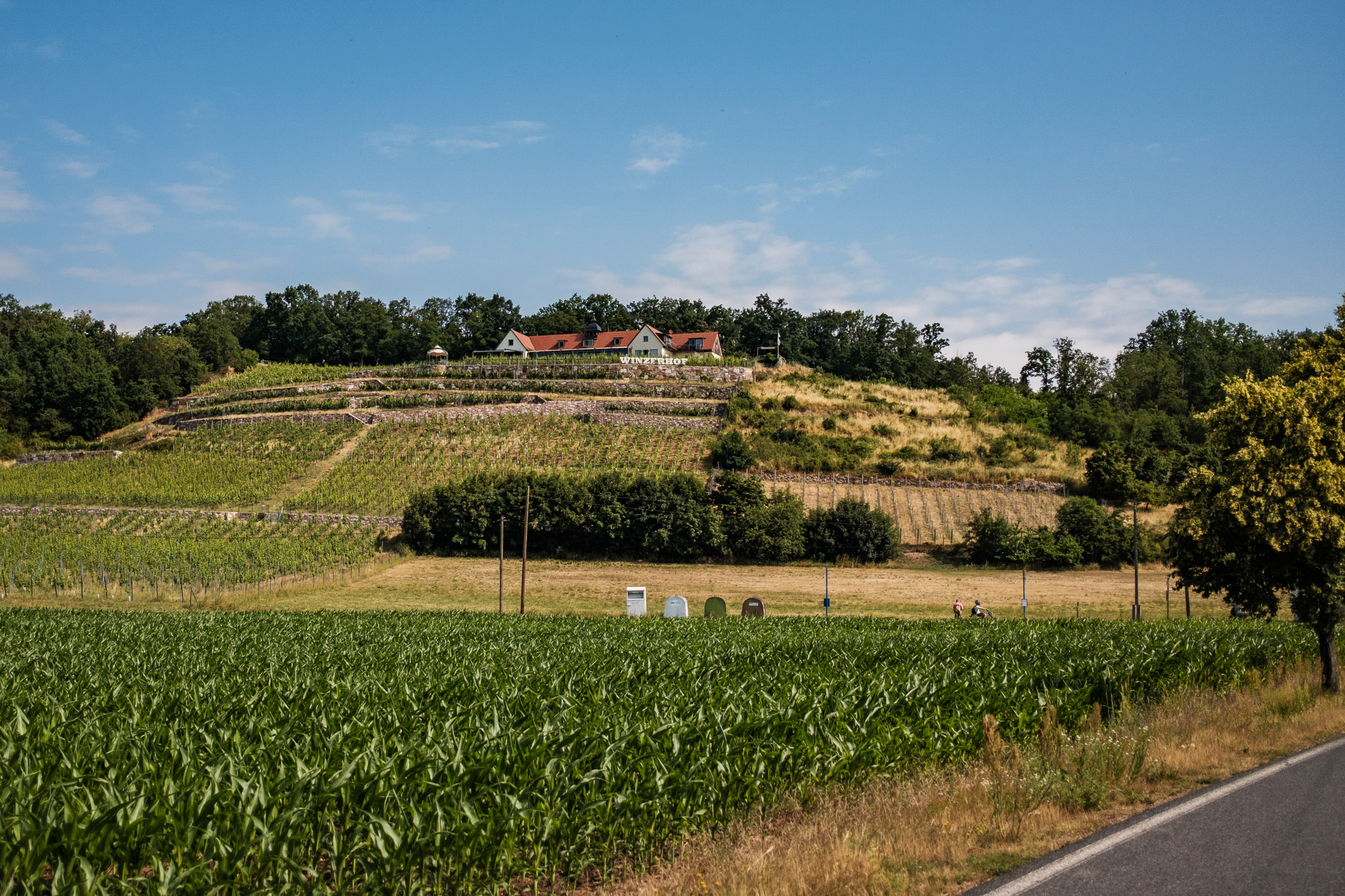 Weingut Herrenberg – Motiv