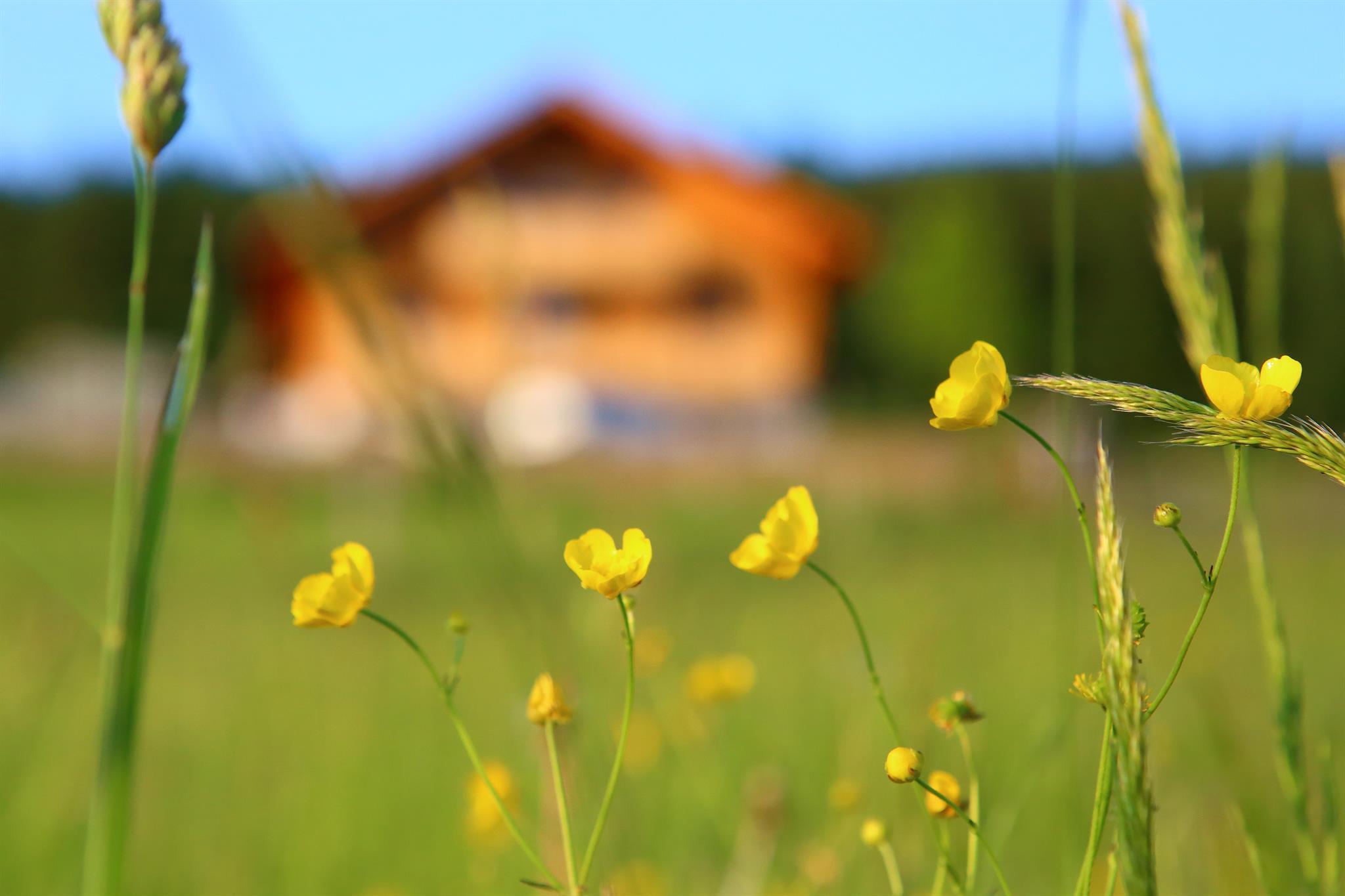 Naturpension Max-Hütte – Motiv