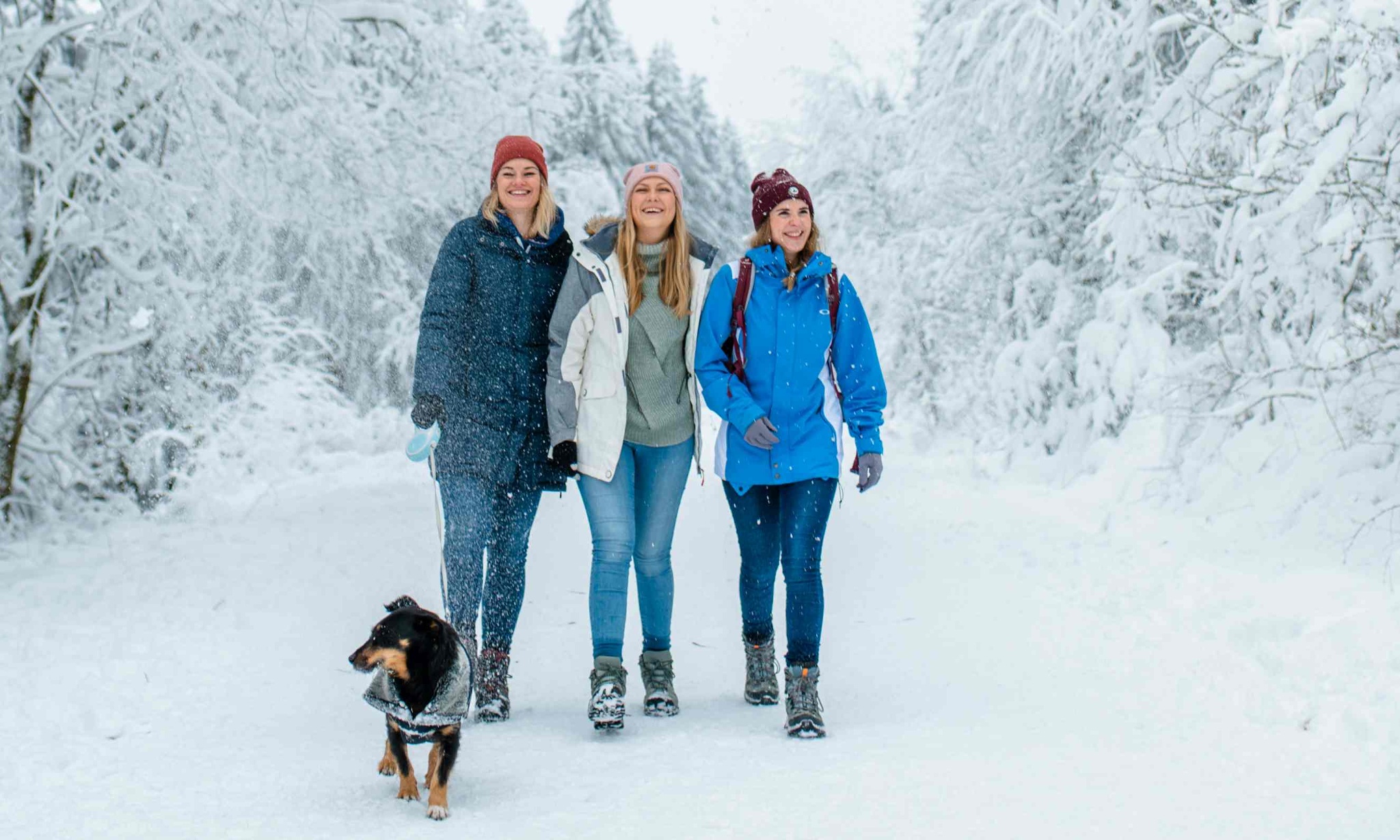 Vom Kreuzeck zum Grabenweg - Hahnenklee