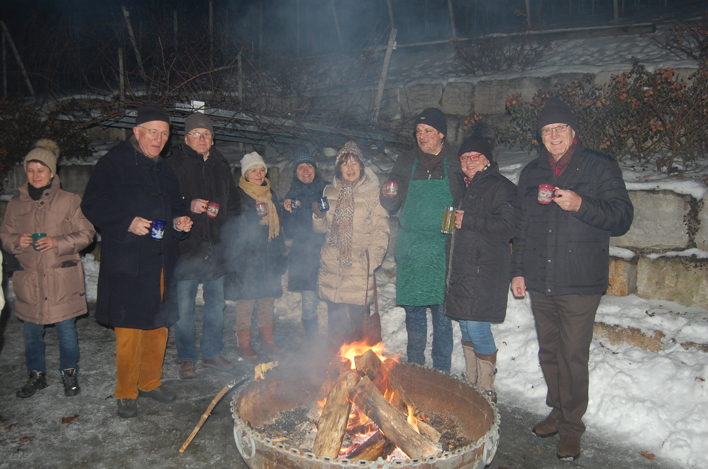 Winternacht im Weinberg