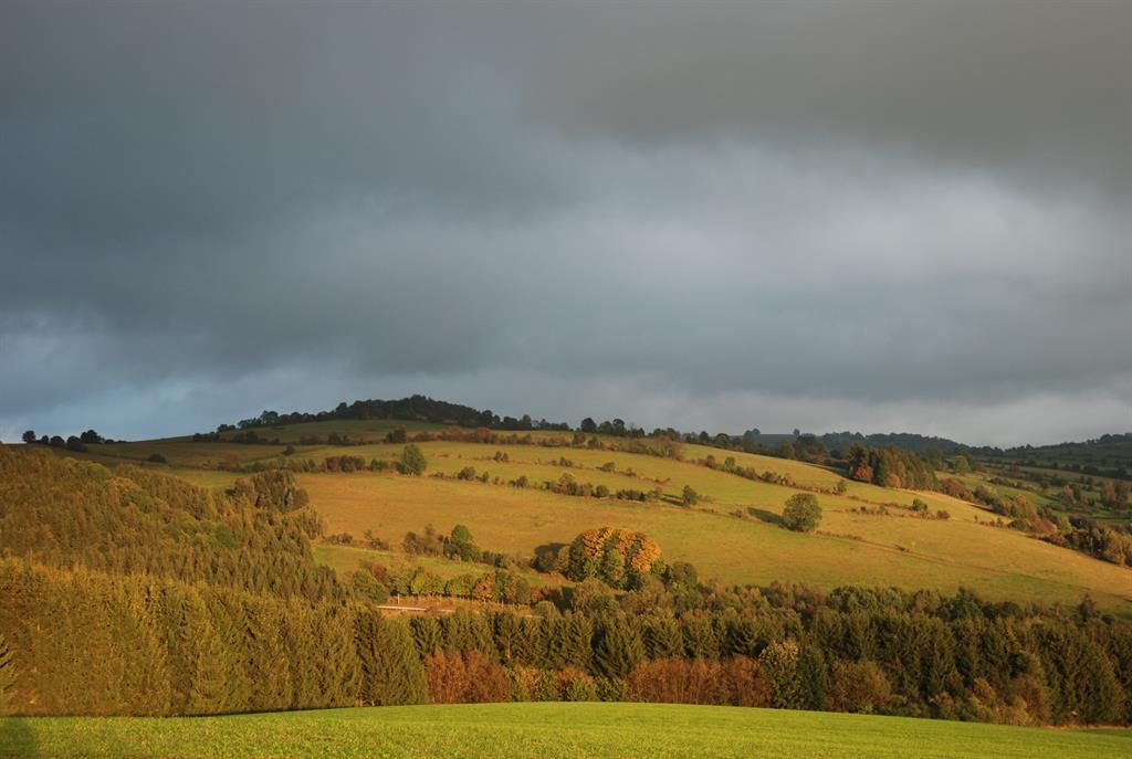 Lerchenhügel im Herbst 2013