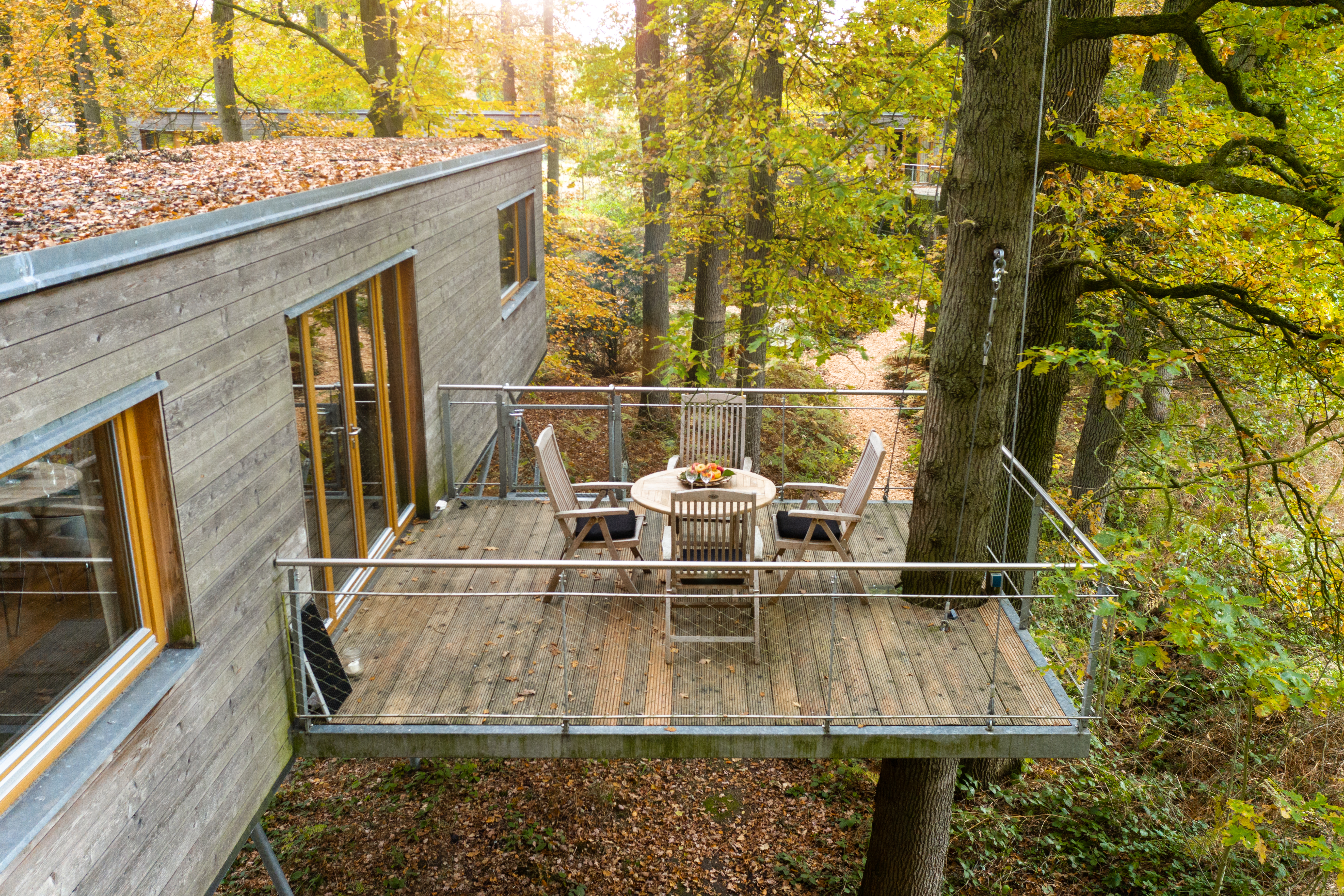 Die Terrasse eines Baumhauses