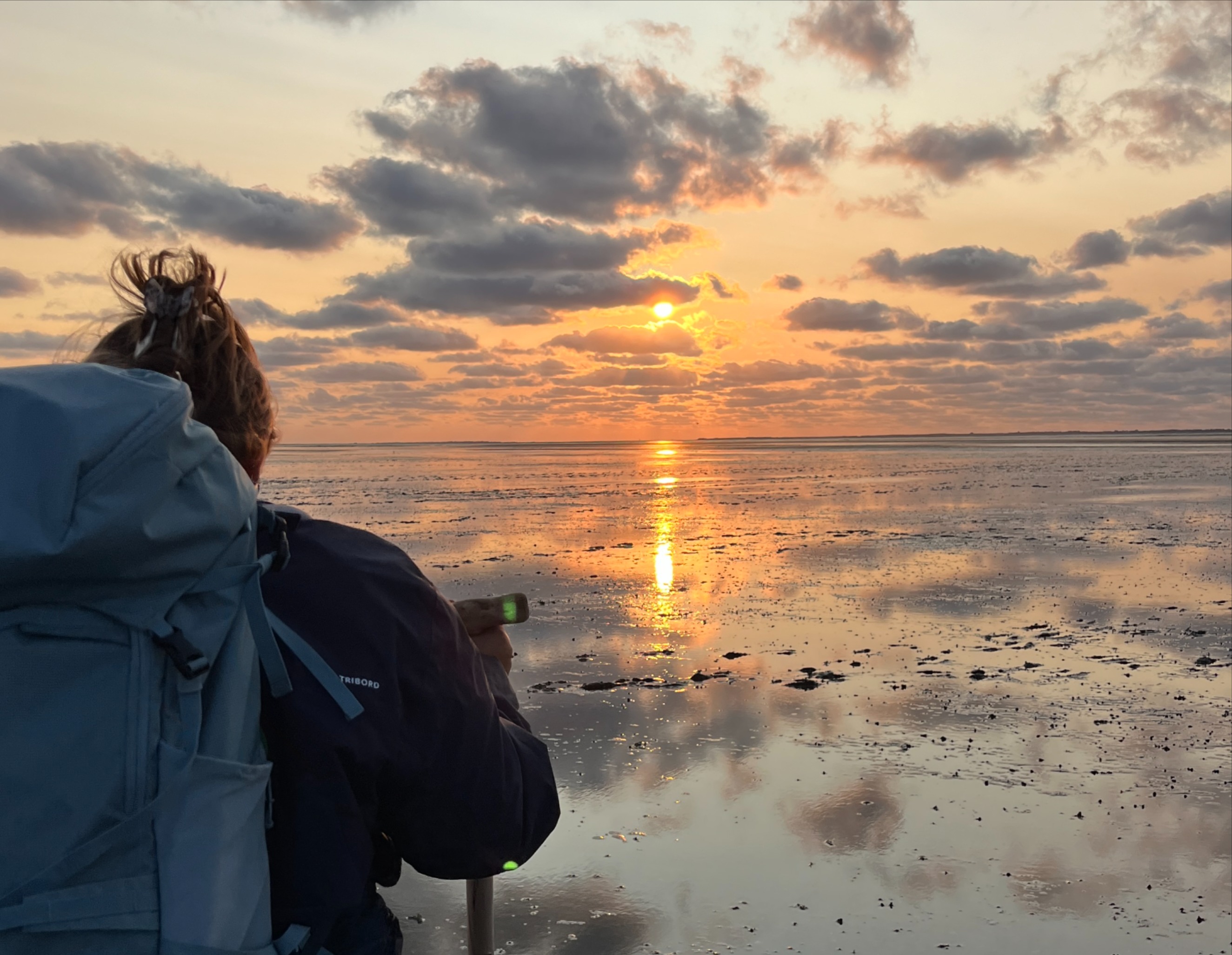 Nationalpark-Wattwanderung__Stimmungsvoll_in_den_Sonnenuntergang2.jpg
