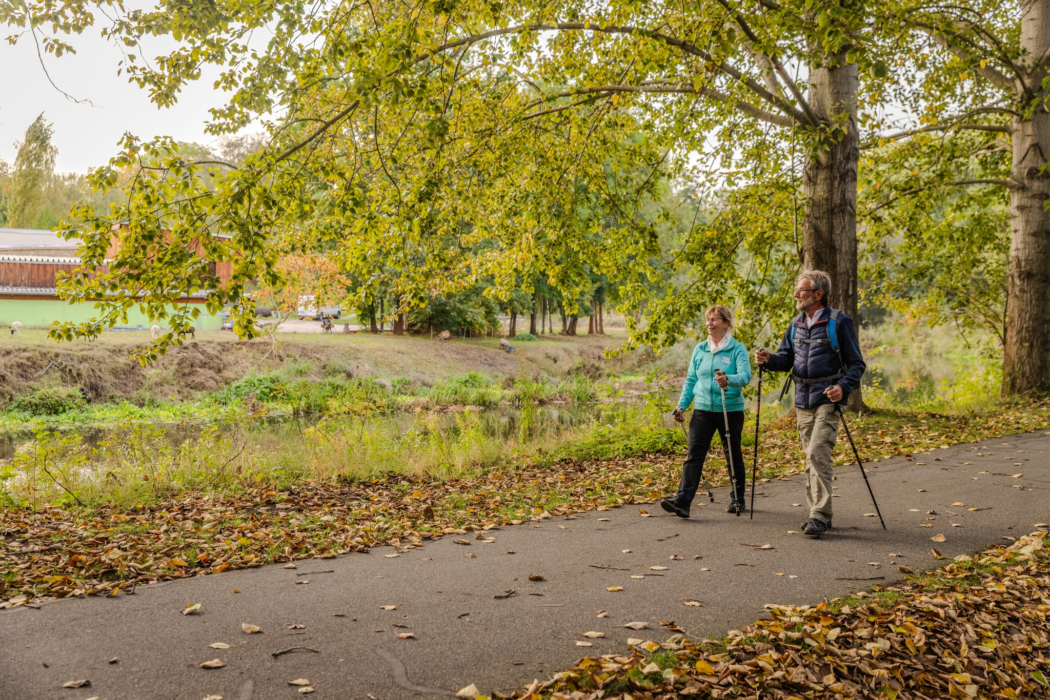 Lutherweg Sachsen – Zuwegung von Hirschfeld nach Döbeln