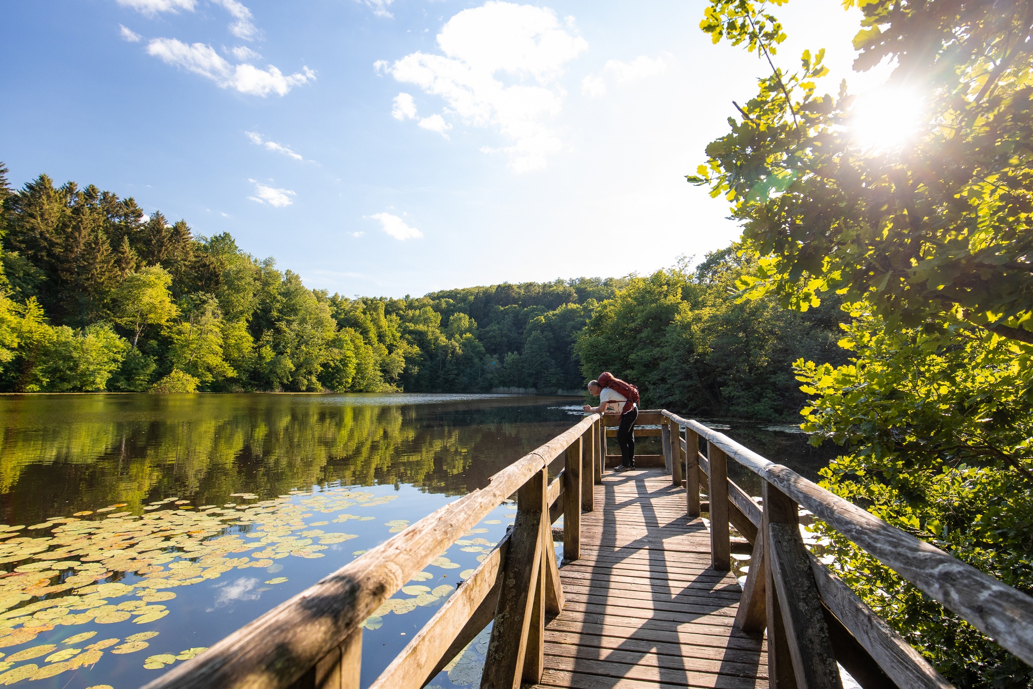 Solling-Vogler-Region im Weserbergland e.V. - Touristik Zentrum