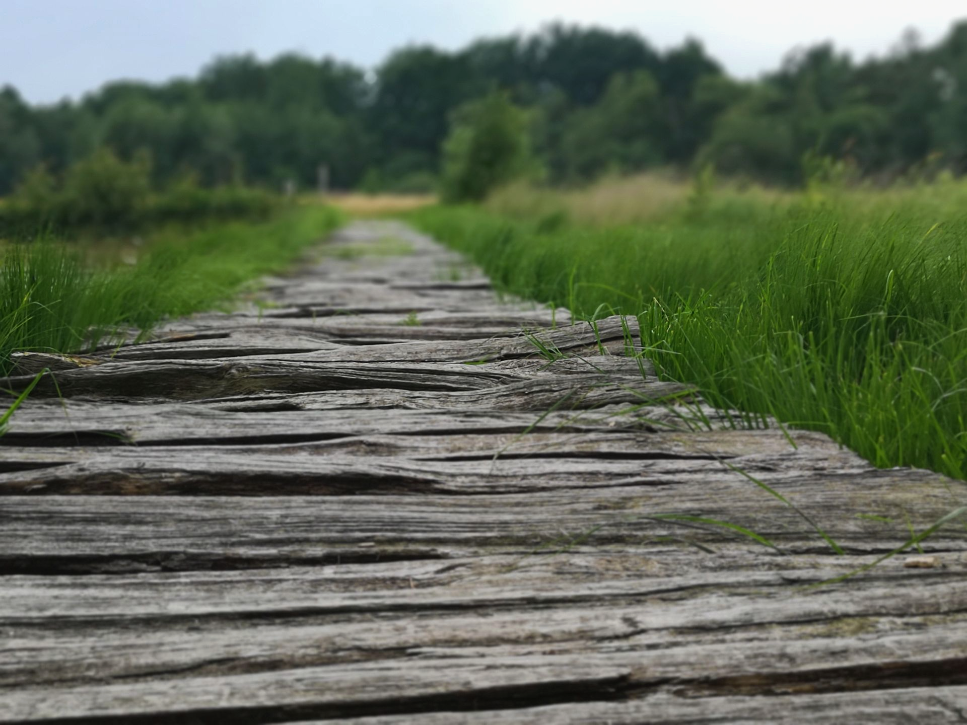 Naturschutzgebiet Huvenhoopsmoor mit Moorerlebnispfad