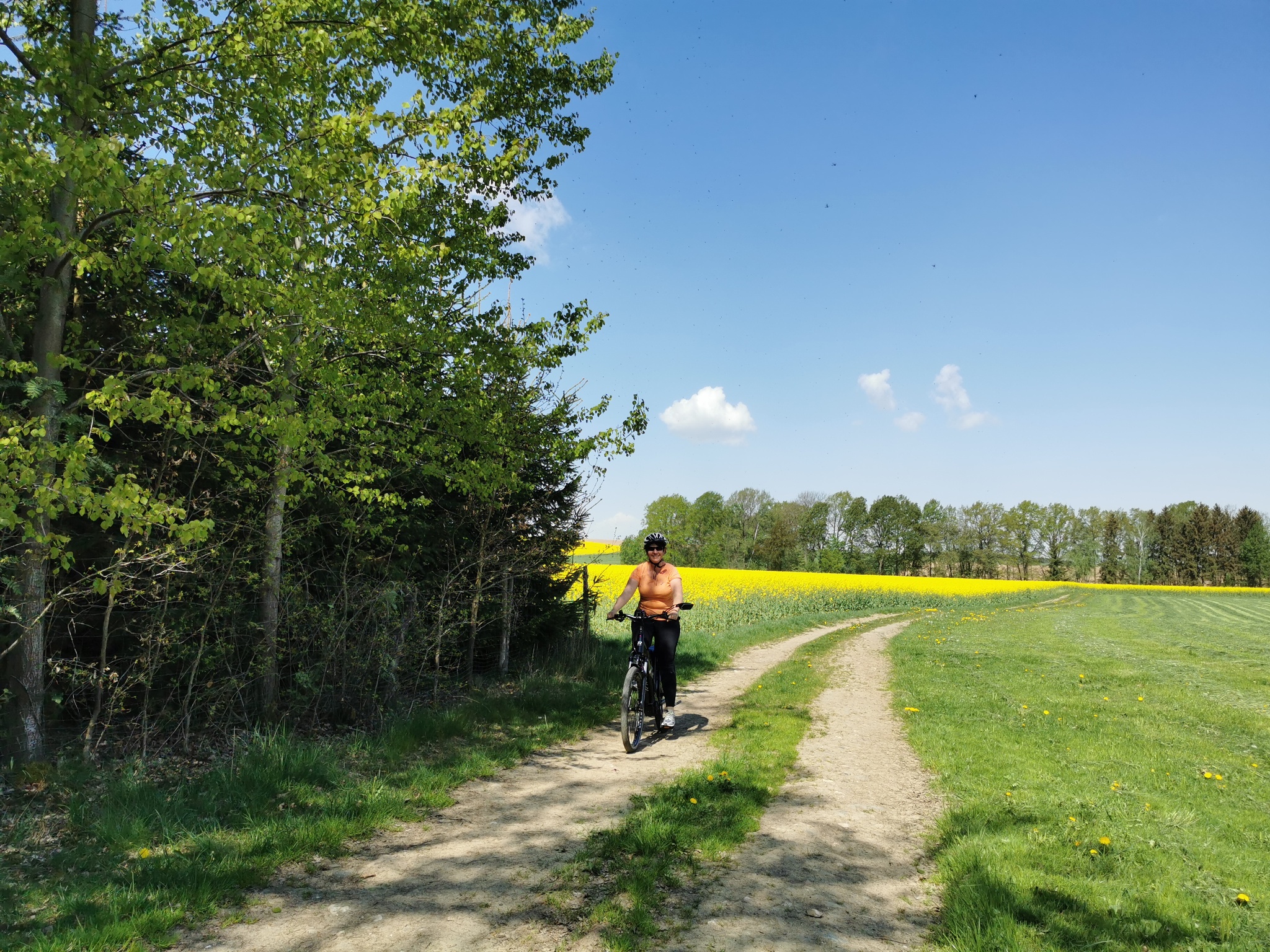 E-Bike Fahrradverleih Greiz und geführte Genußtouren mit dem Rad – Motiv