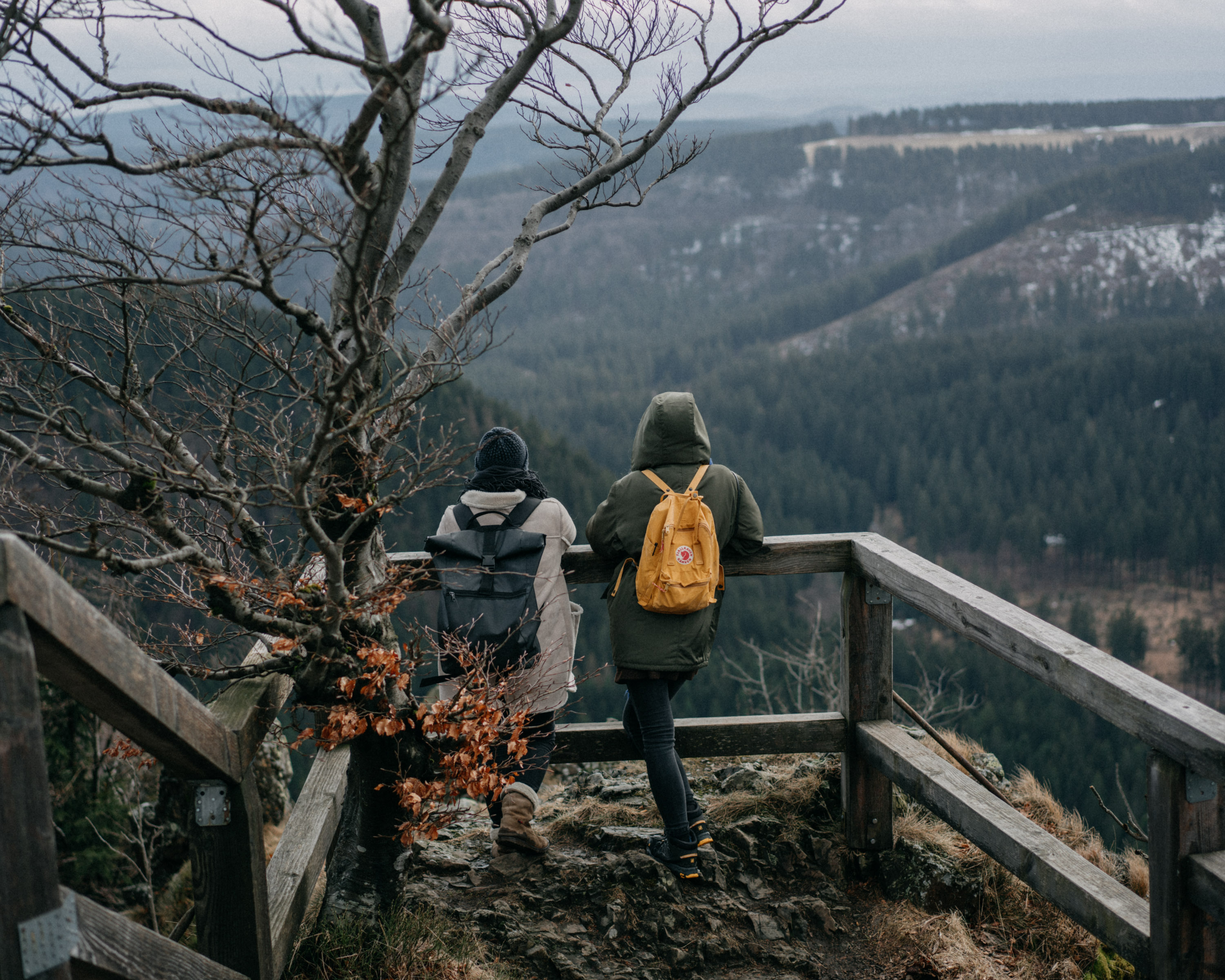 Nationalpark Harz