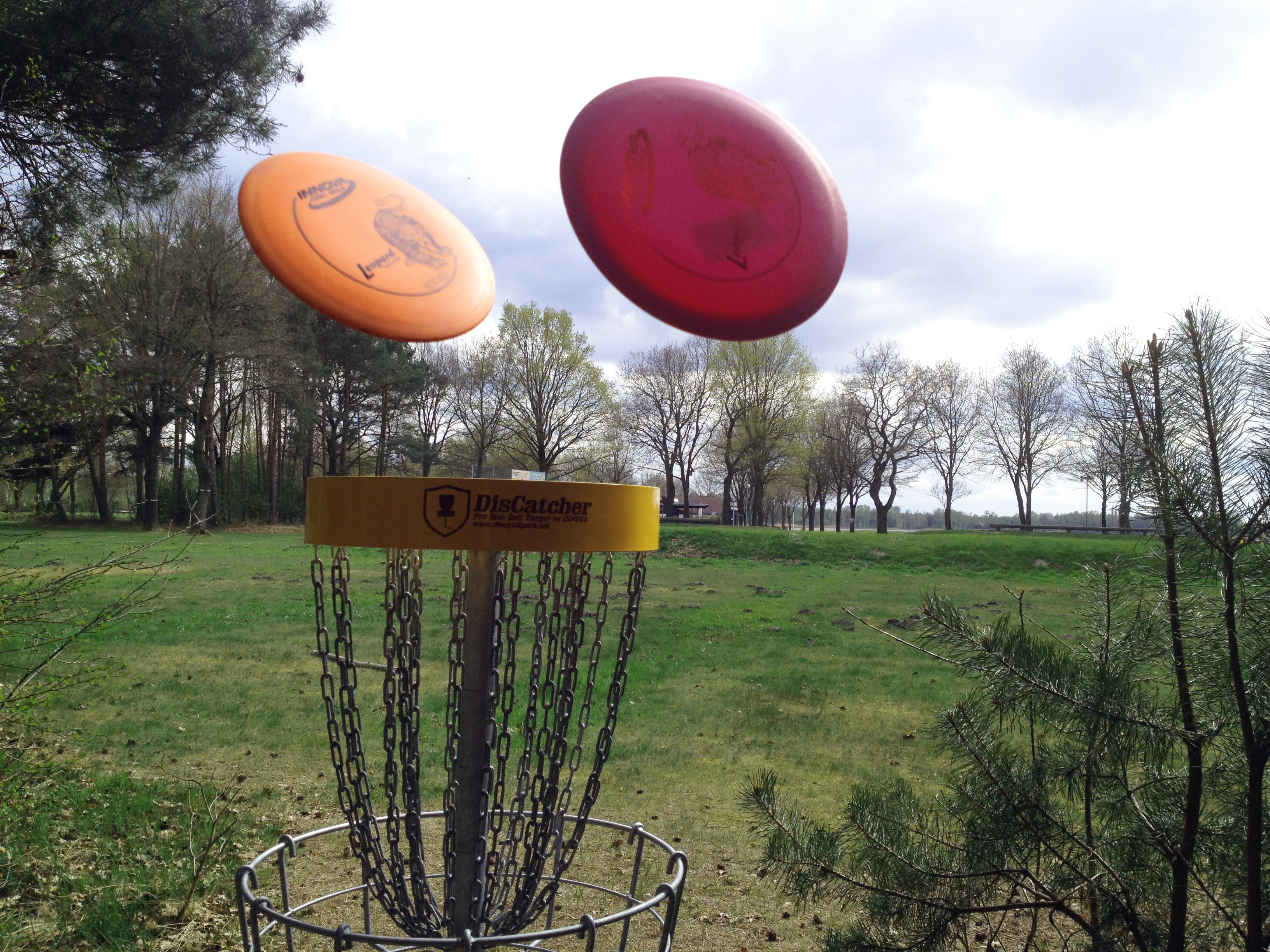 Disc-Golf am Tankumsee