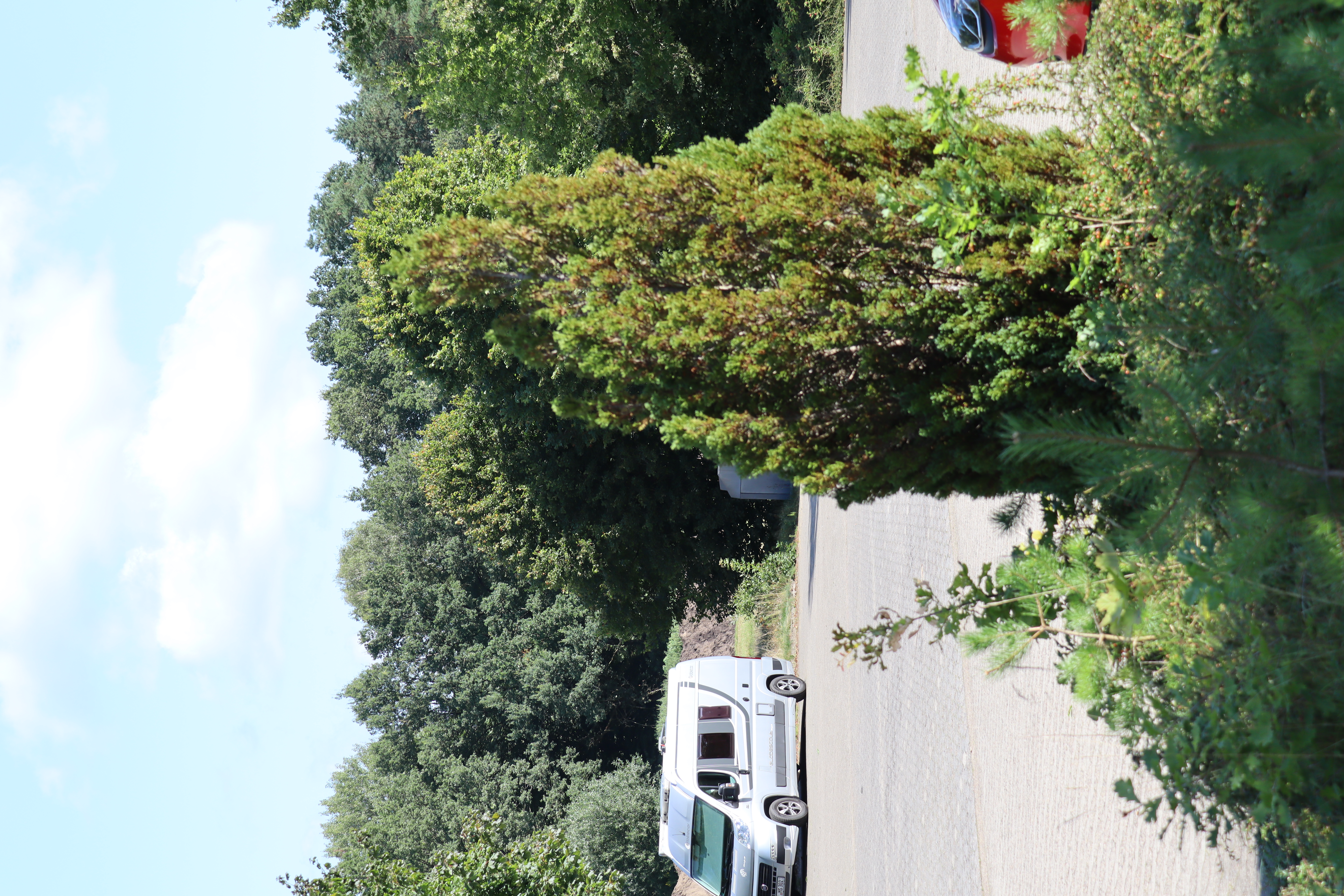Wohnmobilstellplatz am Luhegrund, Bispingen