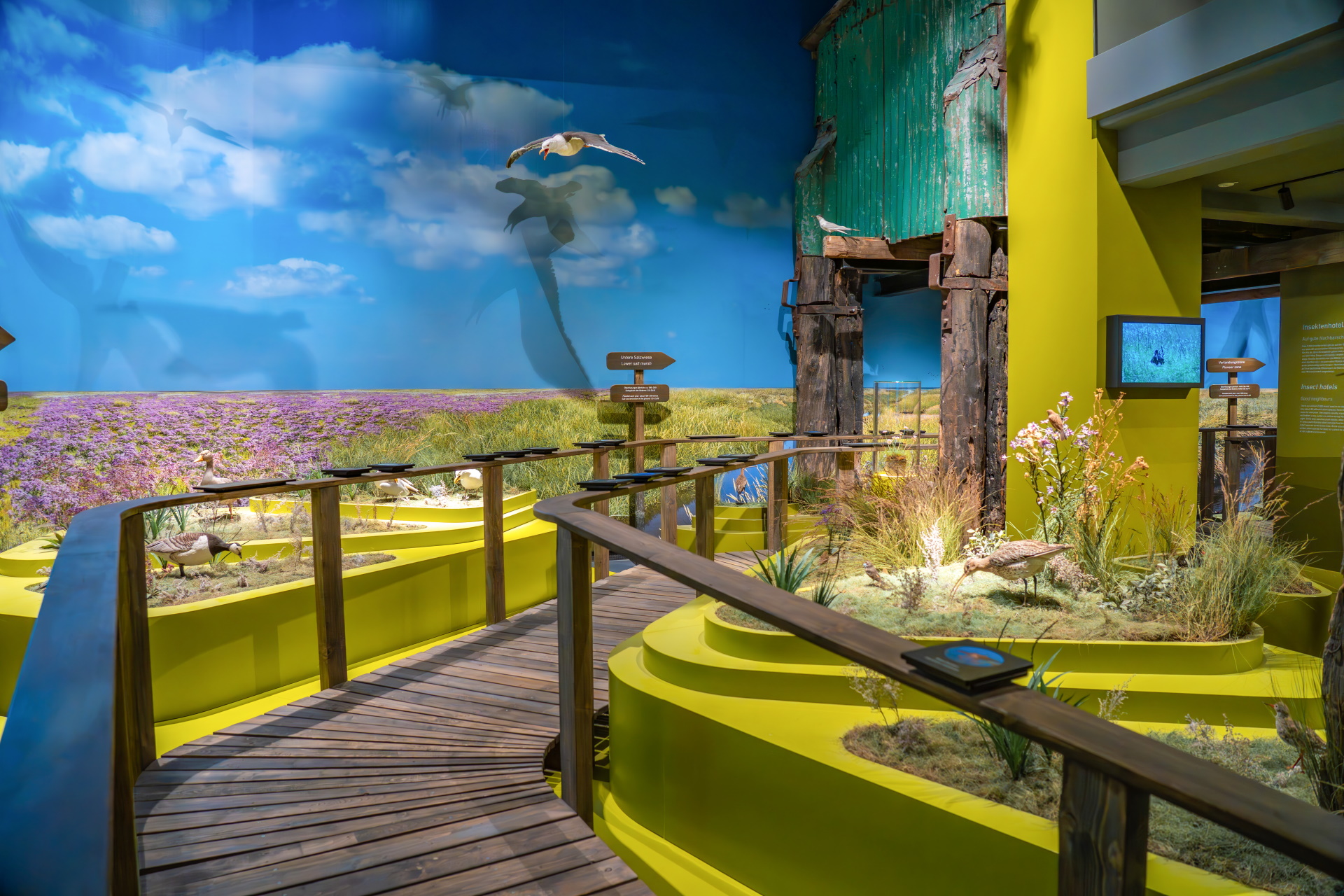 UNESCO-Weltnaturerbe Wattenmeer Besucherzentrum