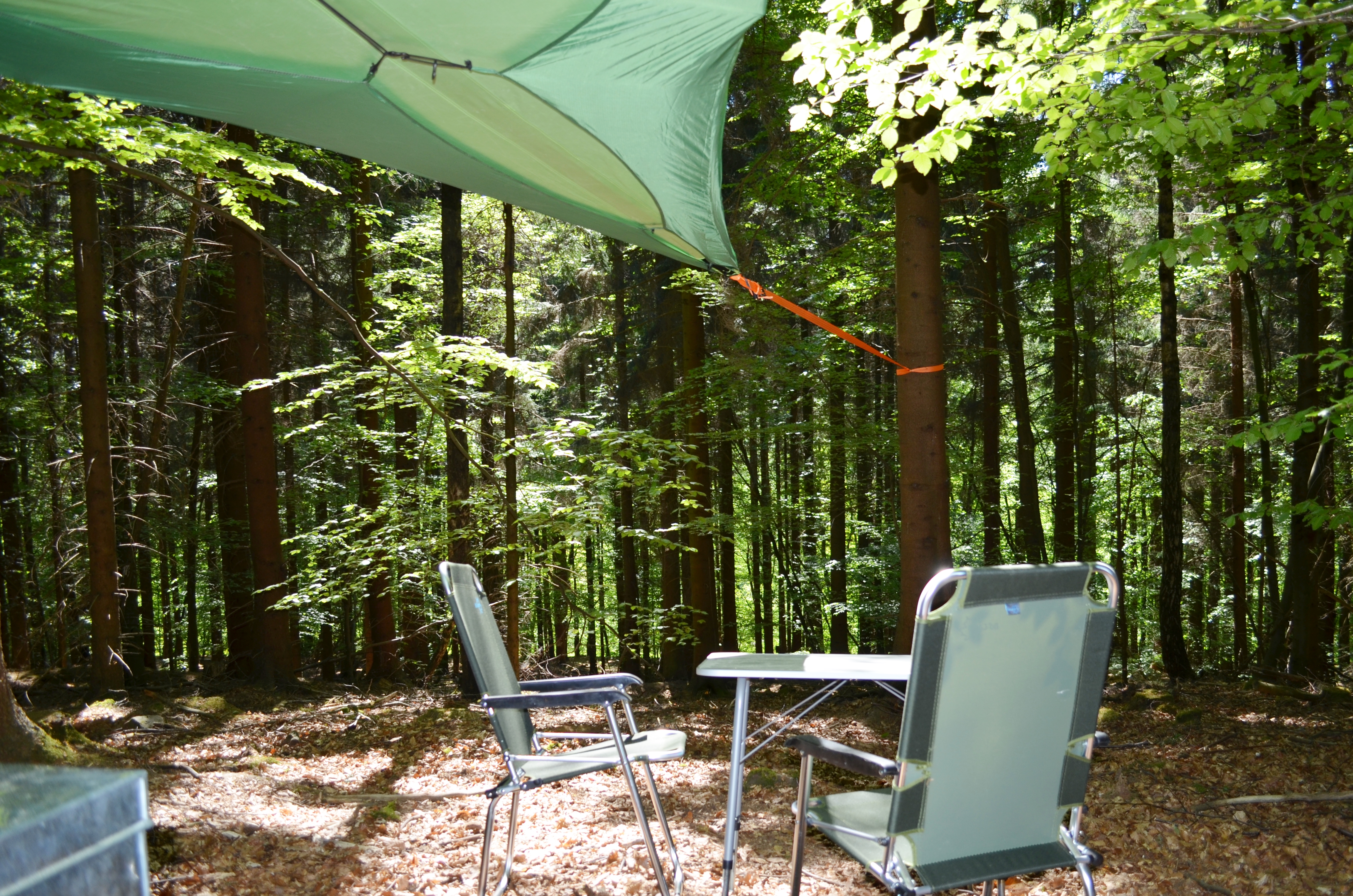 Baumzelt im Wald