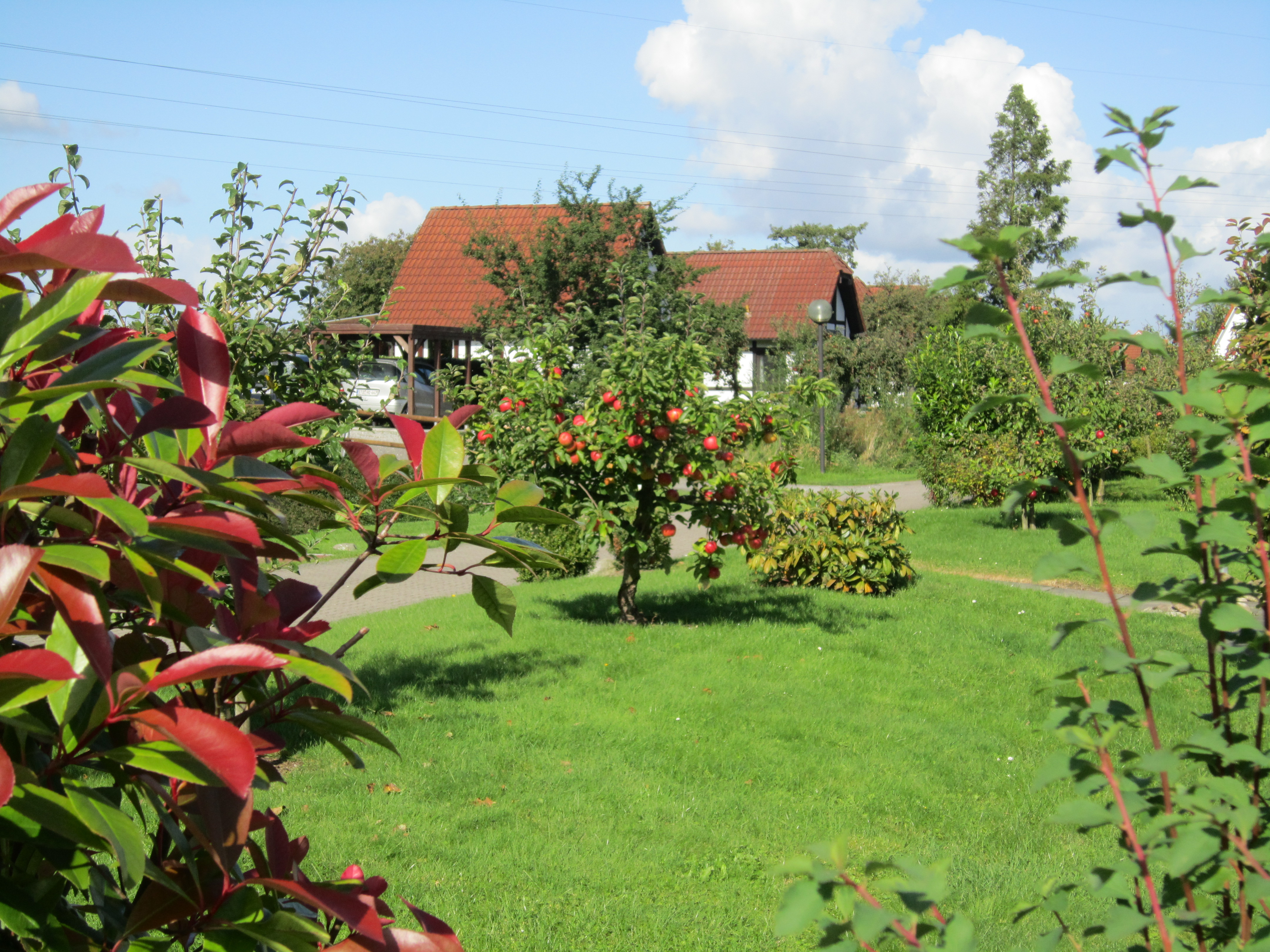 Impressionen Feriendorf Altes Land